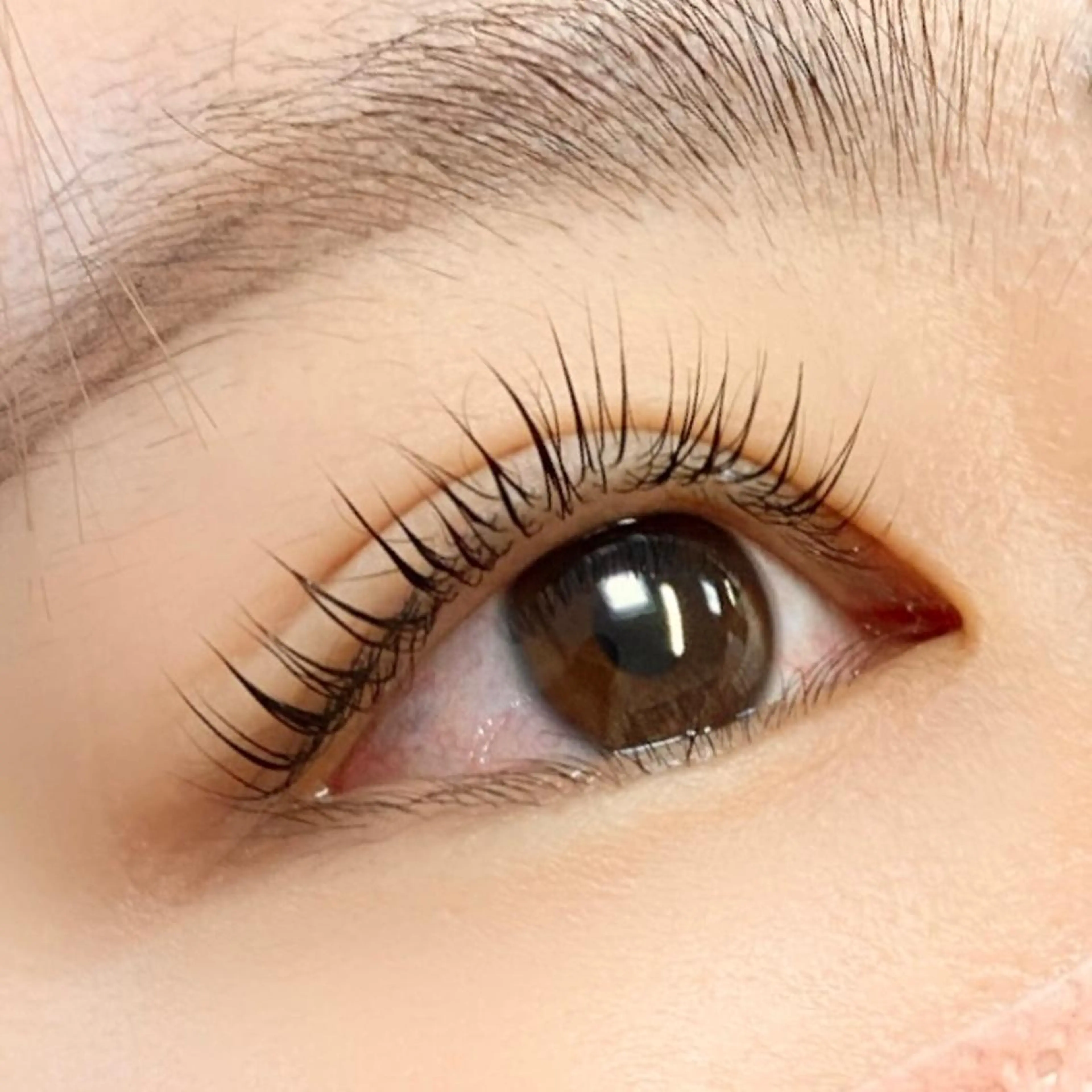 マツエク・マツパ マツパ GOTO /束感仕上げ🪄のマツエク・マツパデザイン