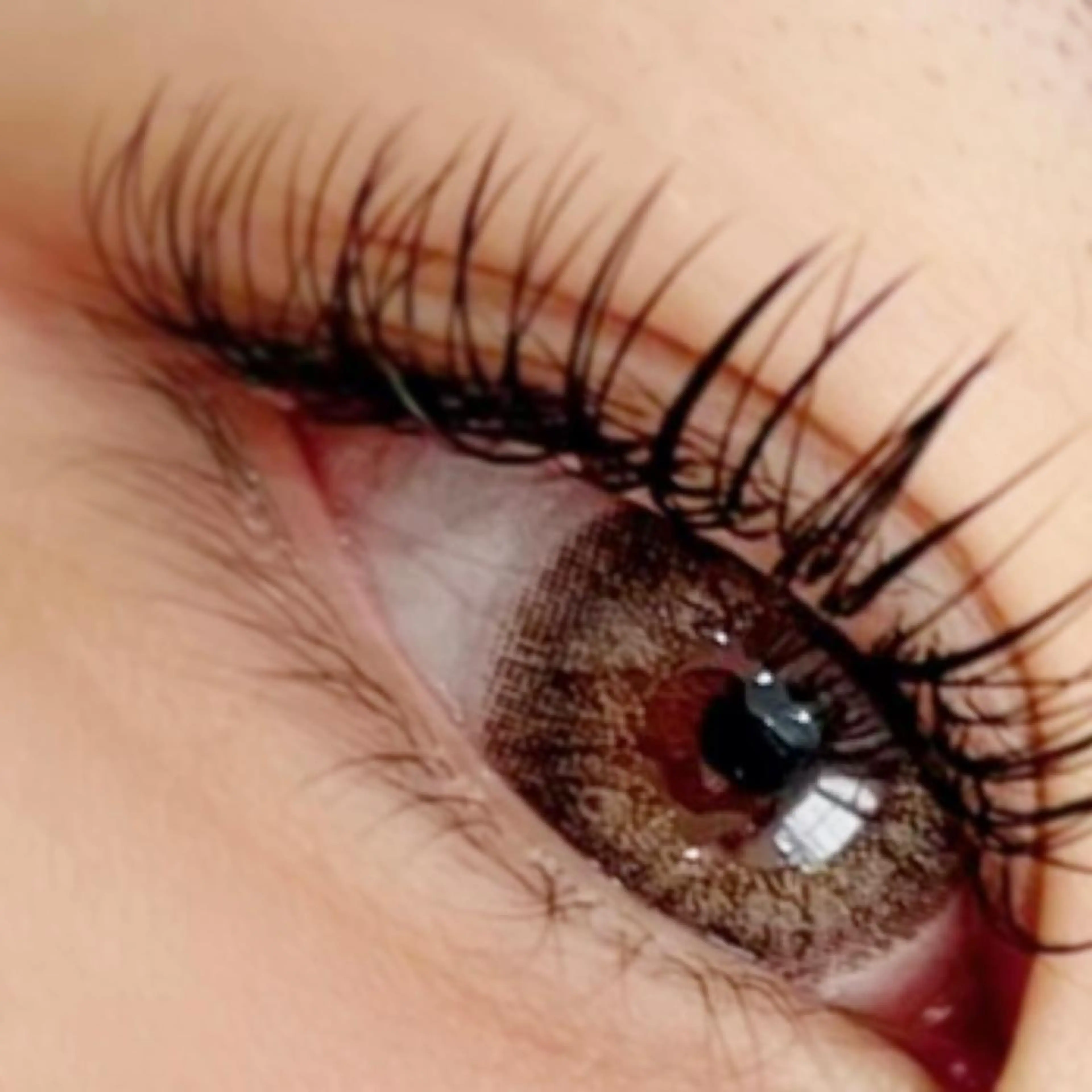 マツエク・マツパ フラットラッシュ マツエク まつげのお店 kaka.のマツエク・マツパデザイン