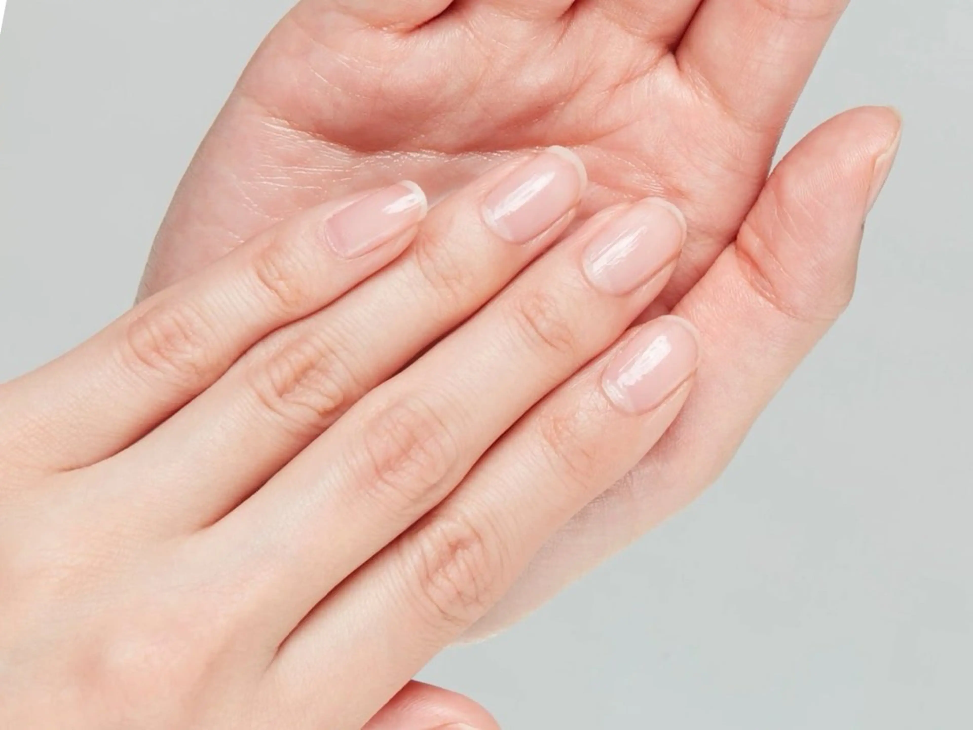 【ハンド】爪育成 10本 クリア/マット仕上げの写真