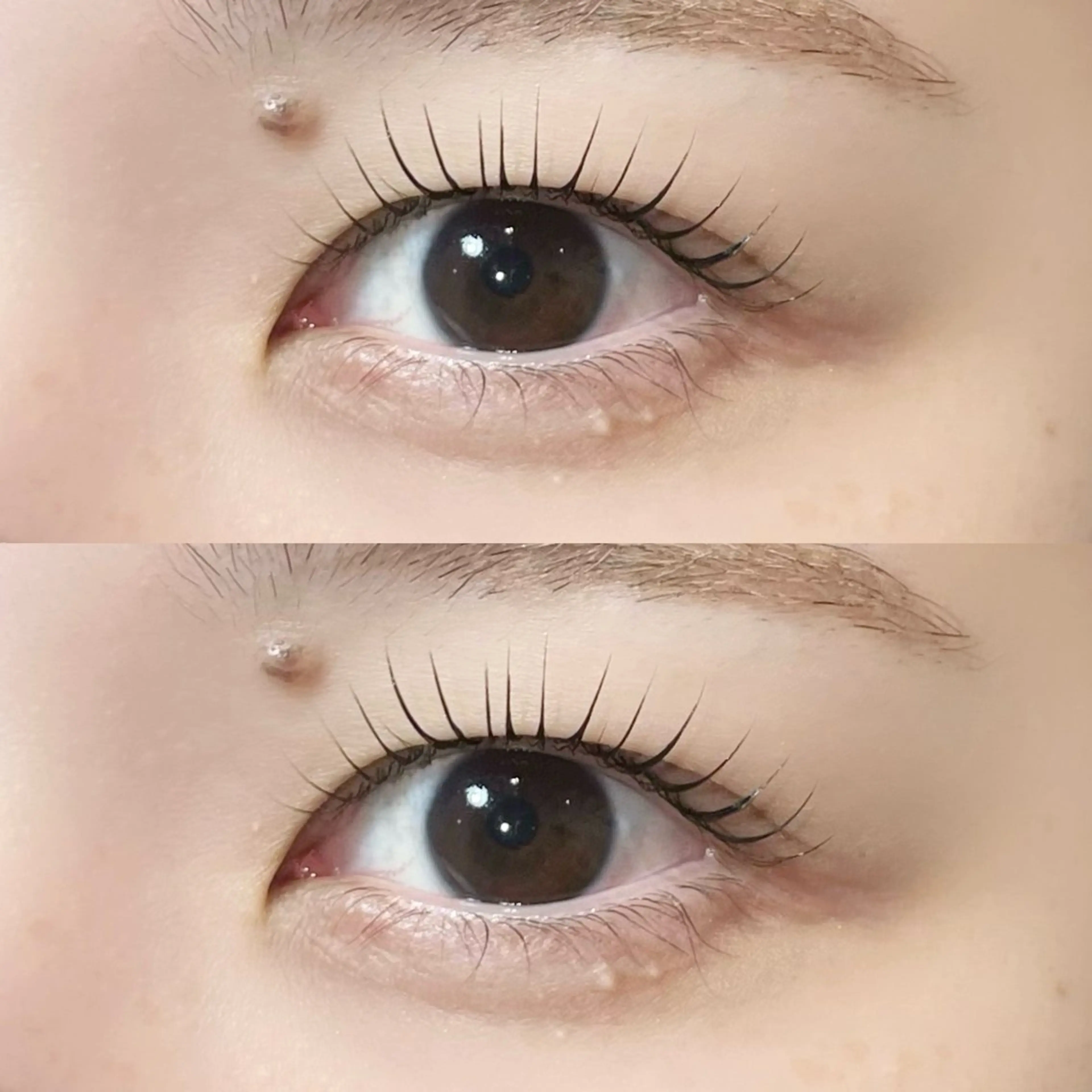 ใใใจใฏใปใใใ ๐๐๐๐๐ ๆ่ฑใฎใใใจใฏใปใใใใใถใคใณ