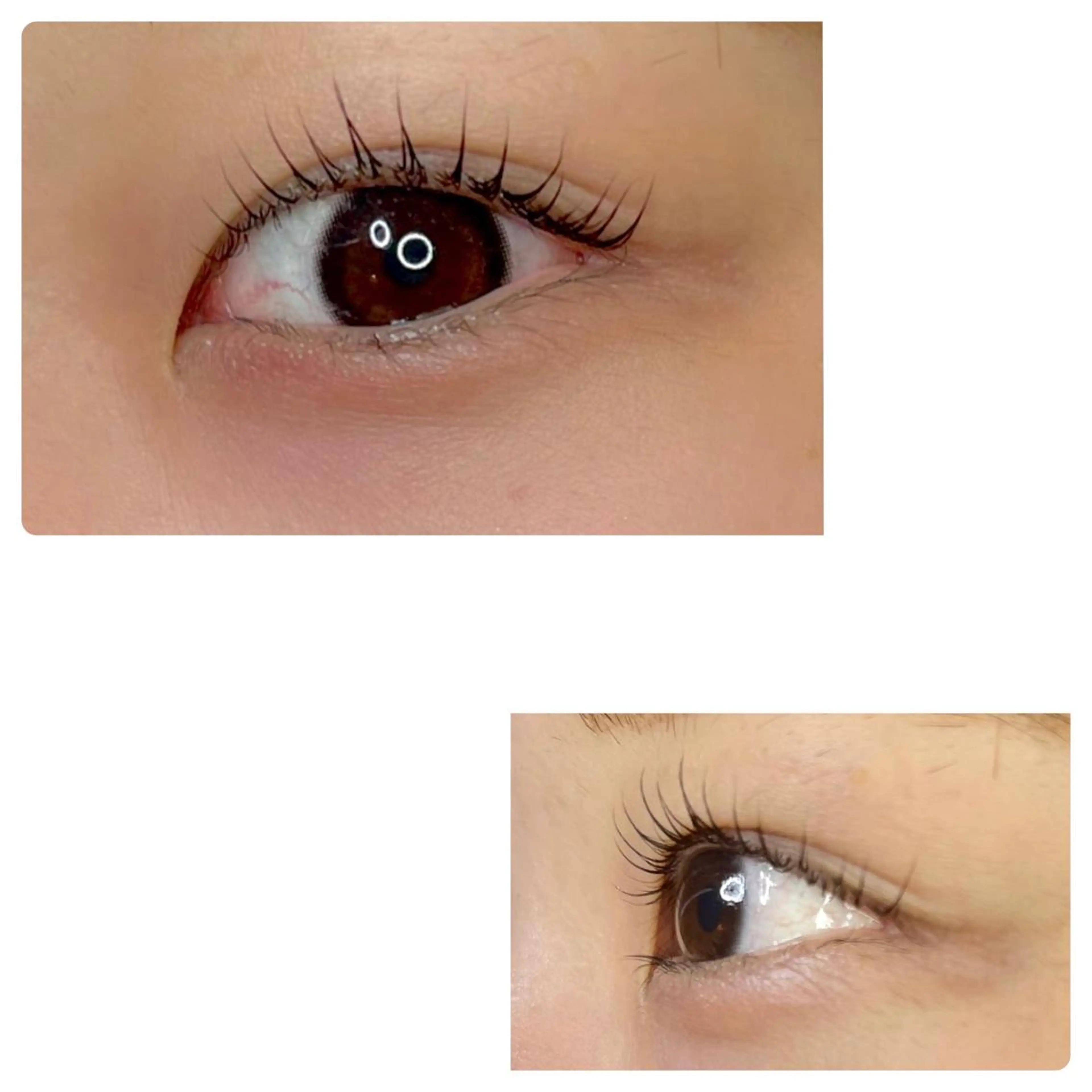 マツエク・マツパ MESSA Raffinatoのマツエク・マツパデザイン