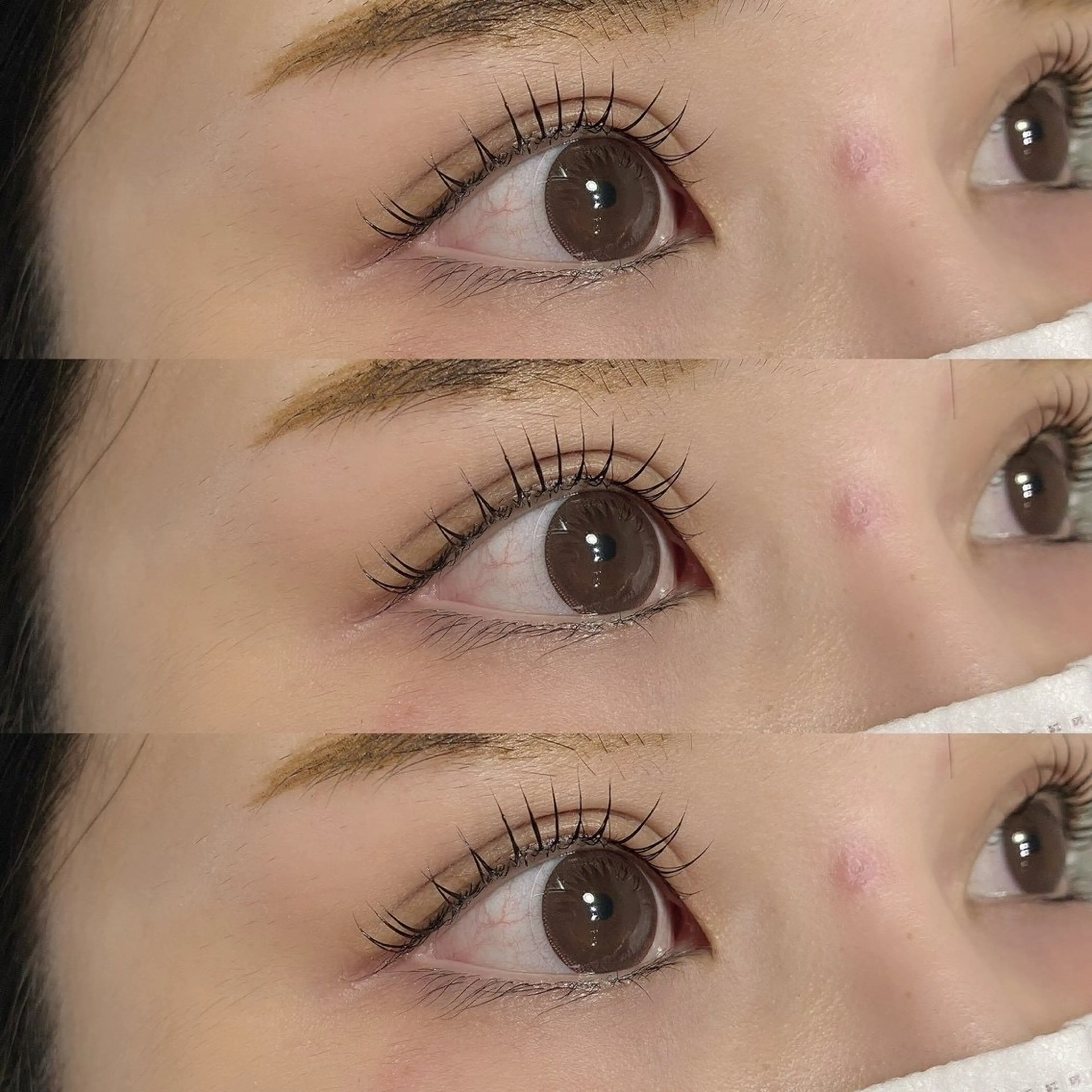 マツエク・マツパ CHORD所属・アイリスト モエナのマツエク・マツパデザイン