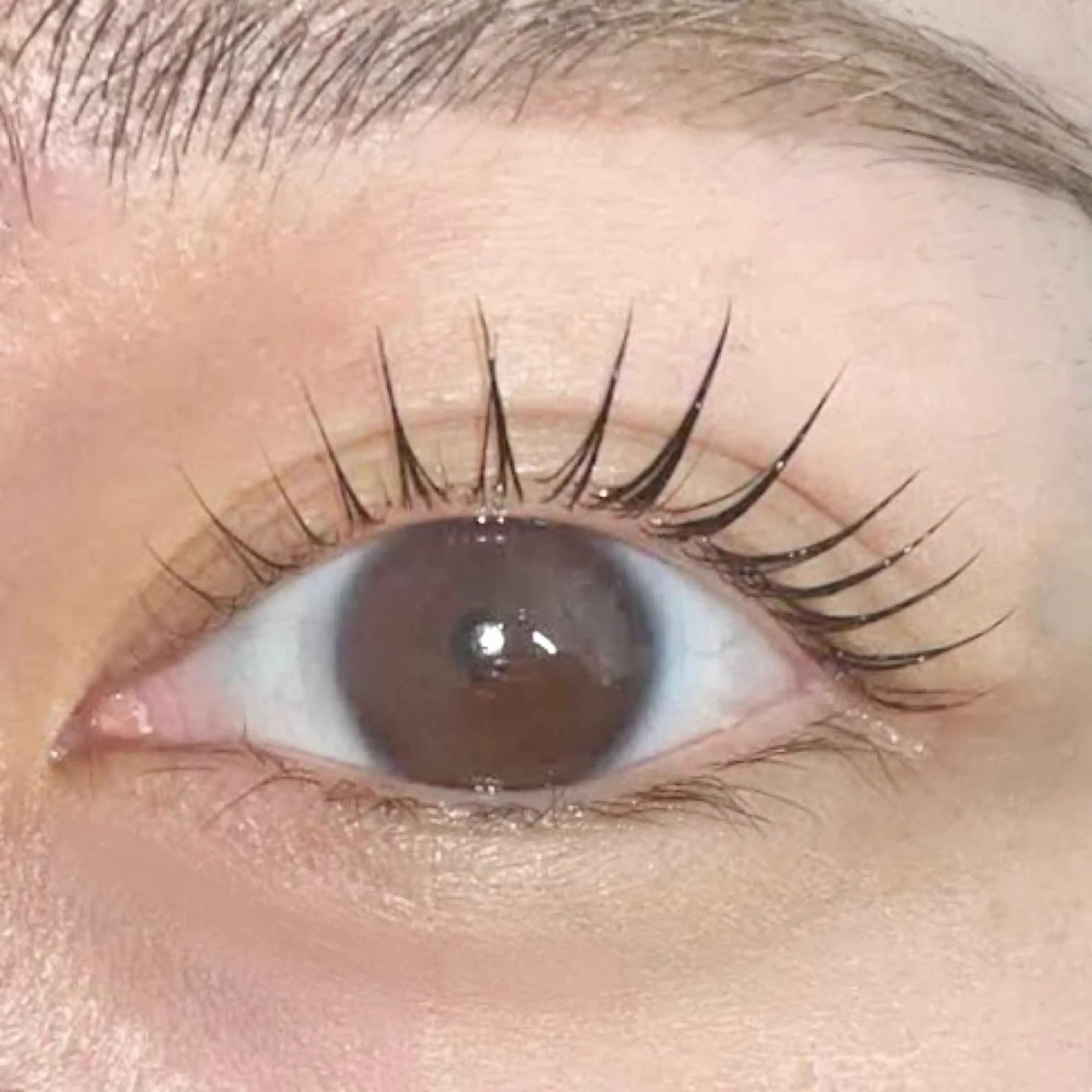 マツエク・マツパ マツパ bijou eyesalonのマツエク・マツパデザイン