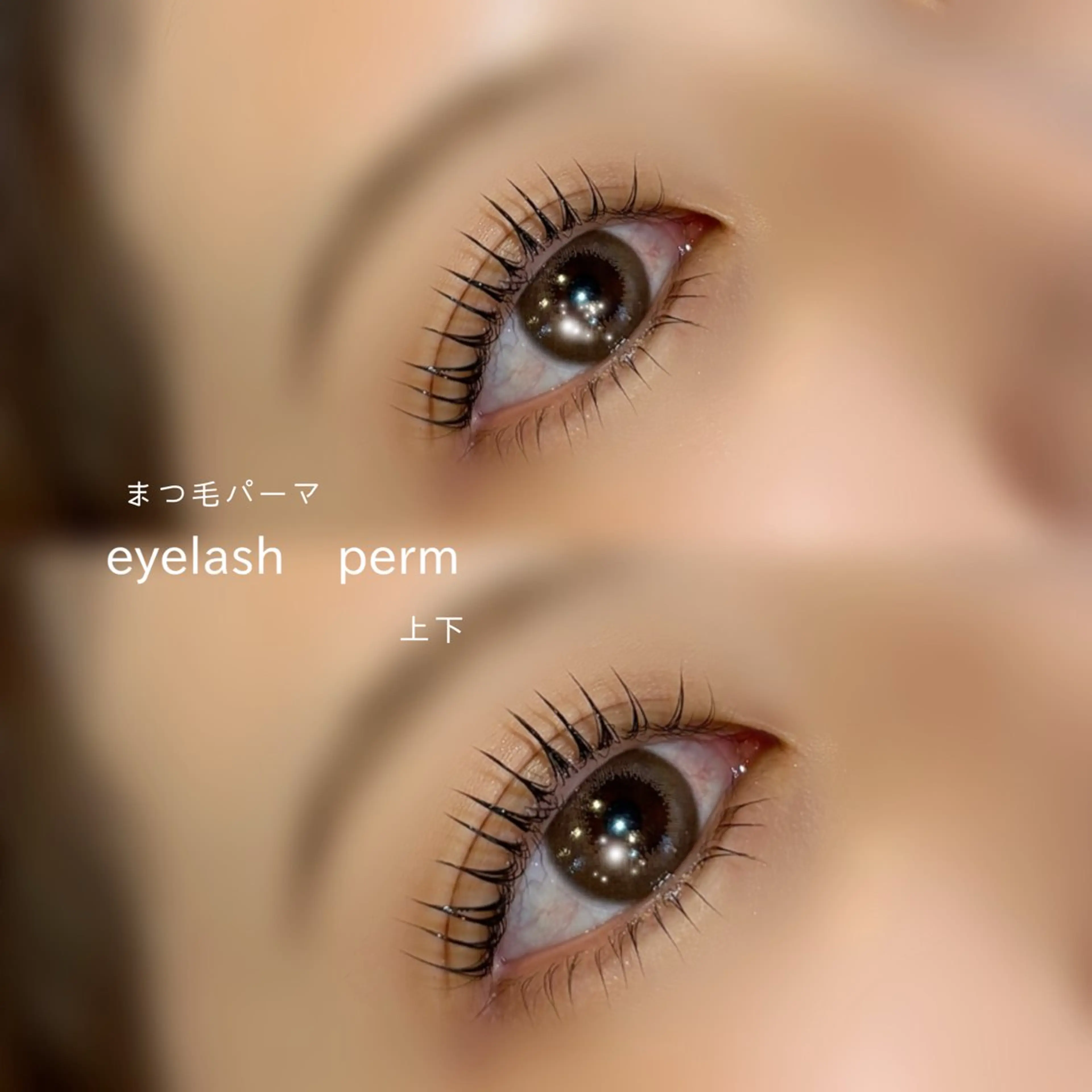 マツエク・マツパ マツパ EYE&NAIL M / 蝦名🌛⋆゜のマツエク・マツパデザイン