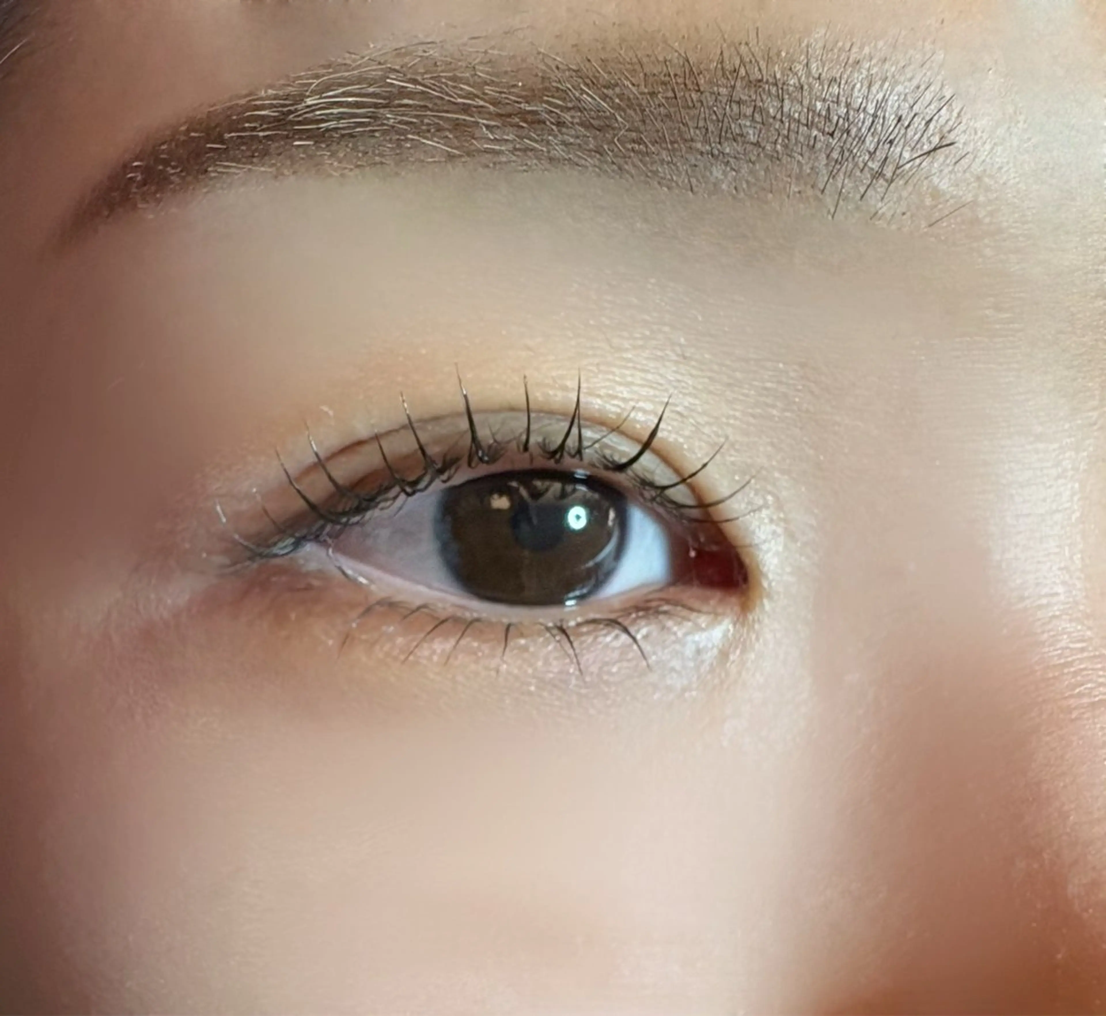 マツエク・マツパ Cカール まつげパーマ 下まつげエクステ マツパ 玉置 七海のヘアスタイル