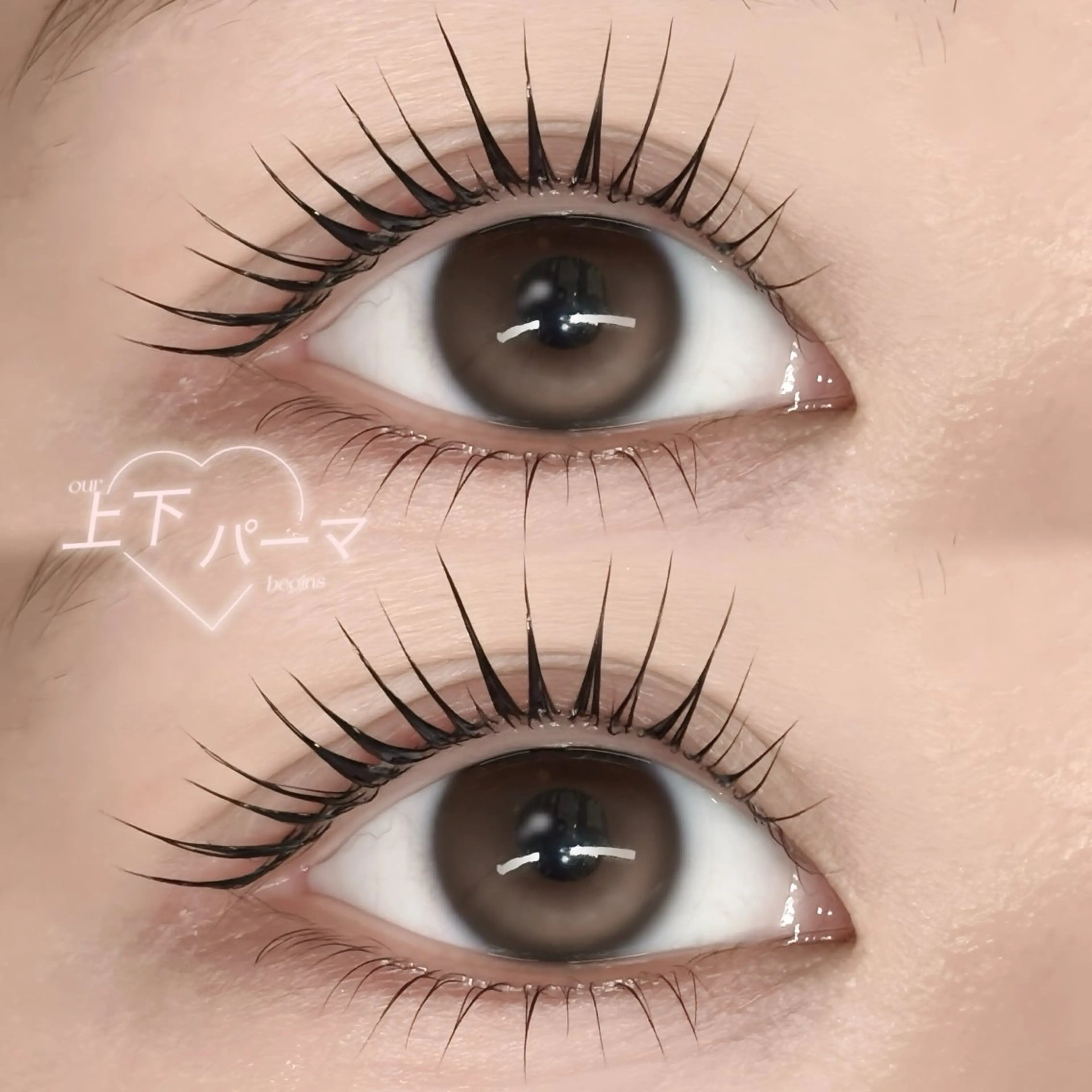 マツエク・マツパ 束感まつ毛 韓国風マツエク まつげパーマ 下まつげエクステ 🩶LED＆ダブル フラットRAN🪽のマツエク・マツパデザイン