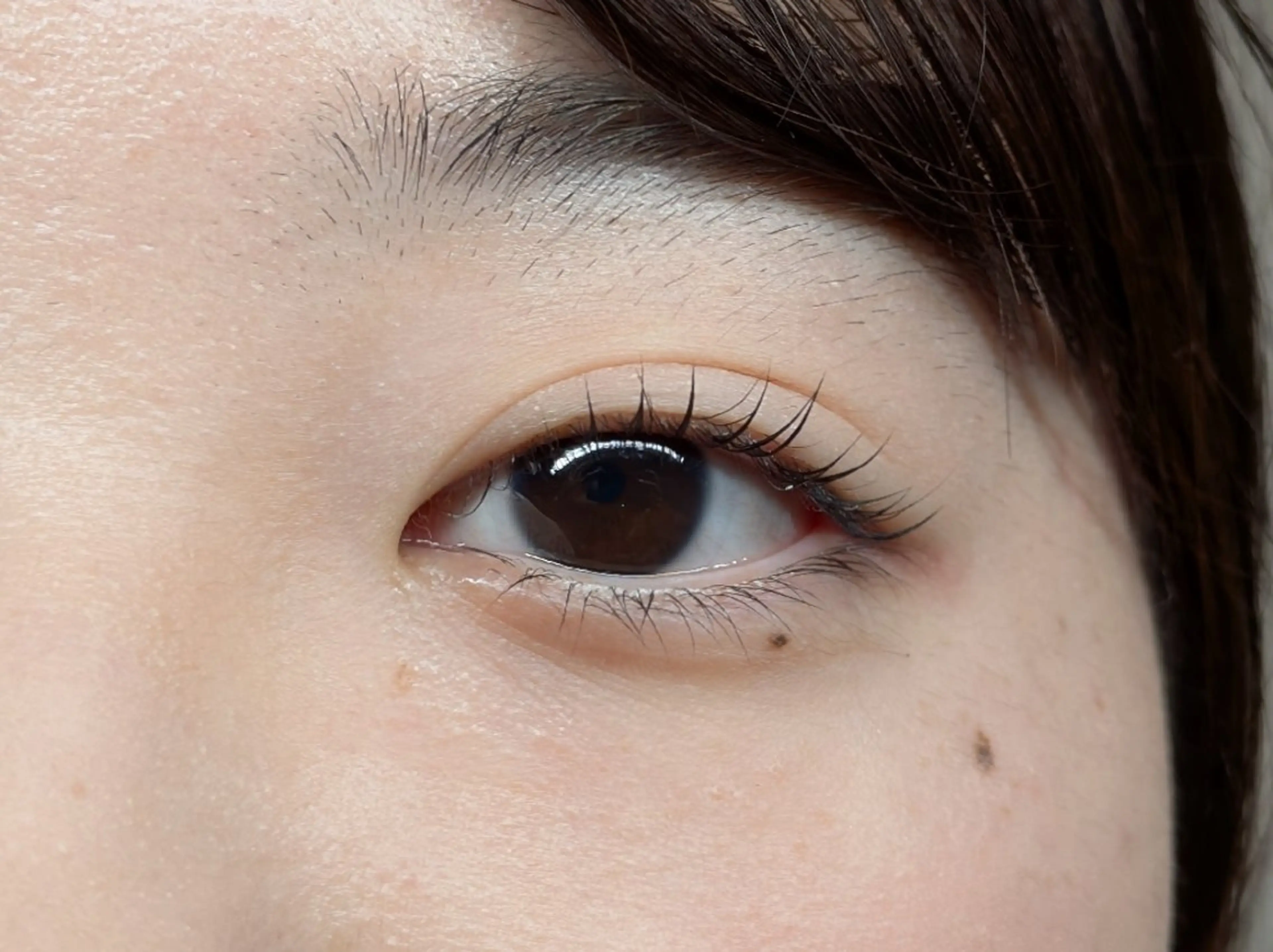 マツエク・マツパ パリジェンヌラッシュリフト まつげパーマ Sun Brown Ryu-gaのマツエク・マツパデザイン