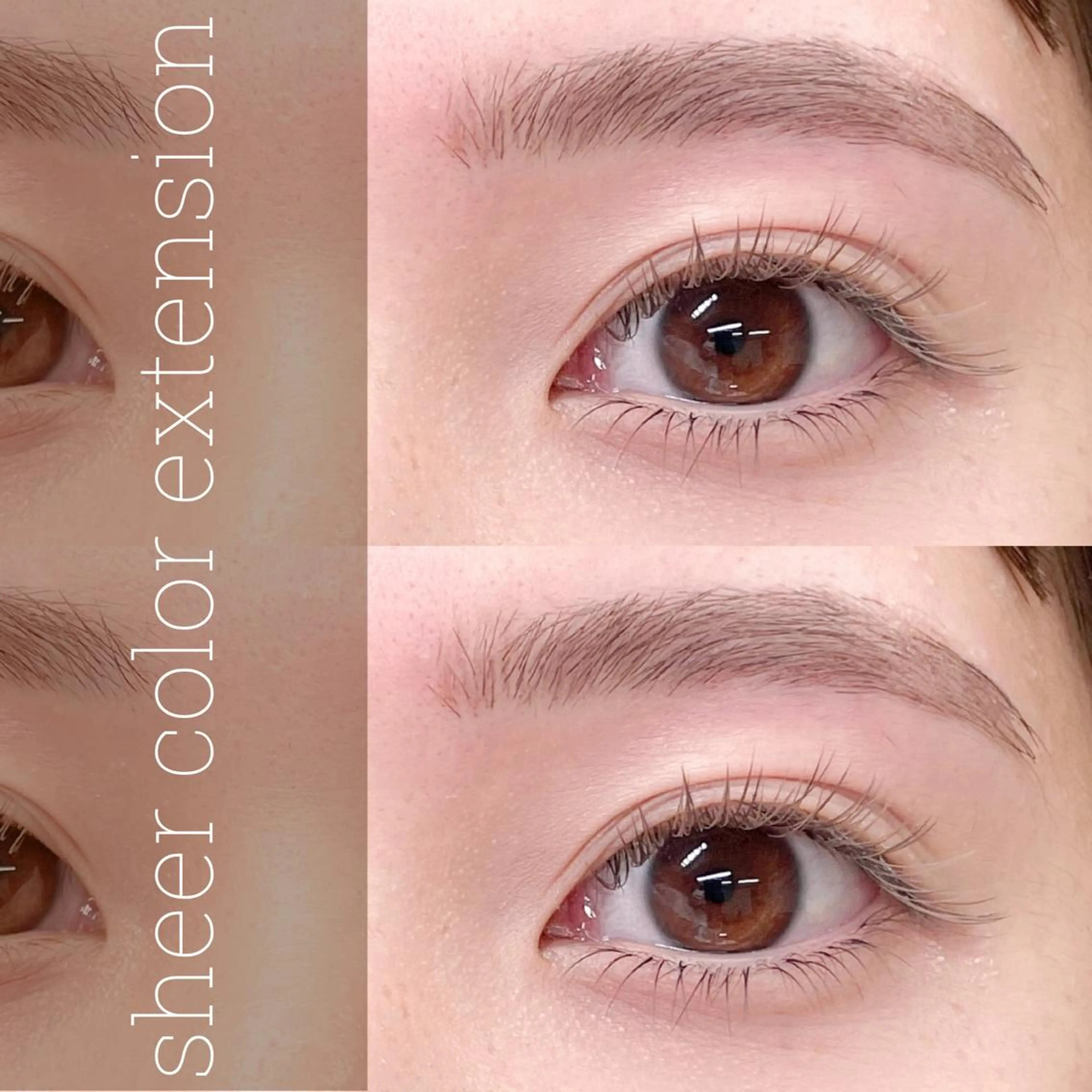 マツエク・マツパ マツエク 🥀Saito Tomomi🥀のマツエク・マツパデザイン