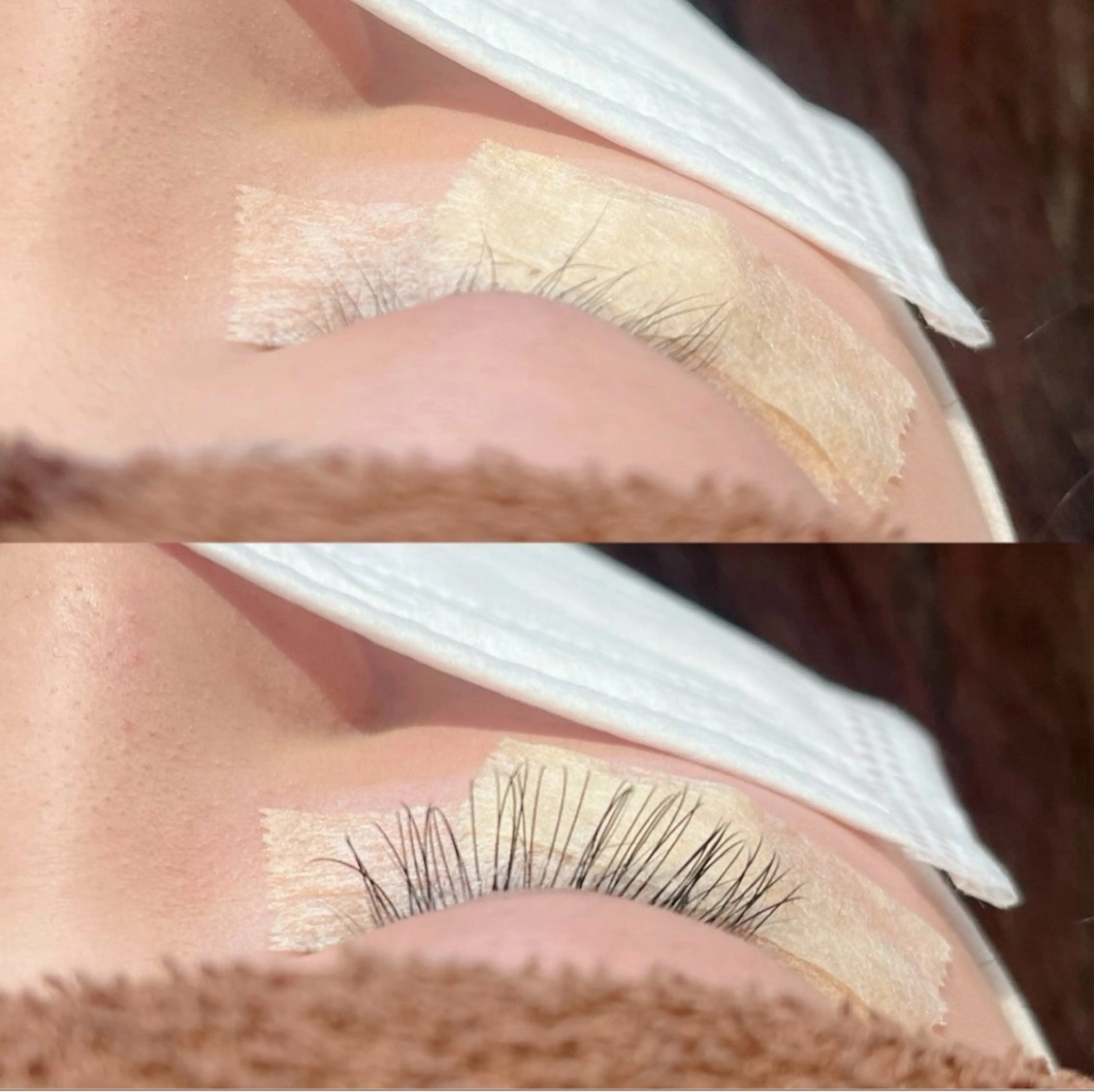 アイシャンプー🧴‎◌𓈒𓐍まつ毛ダニ予防🚨⚡の写真