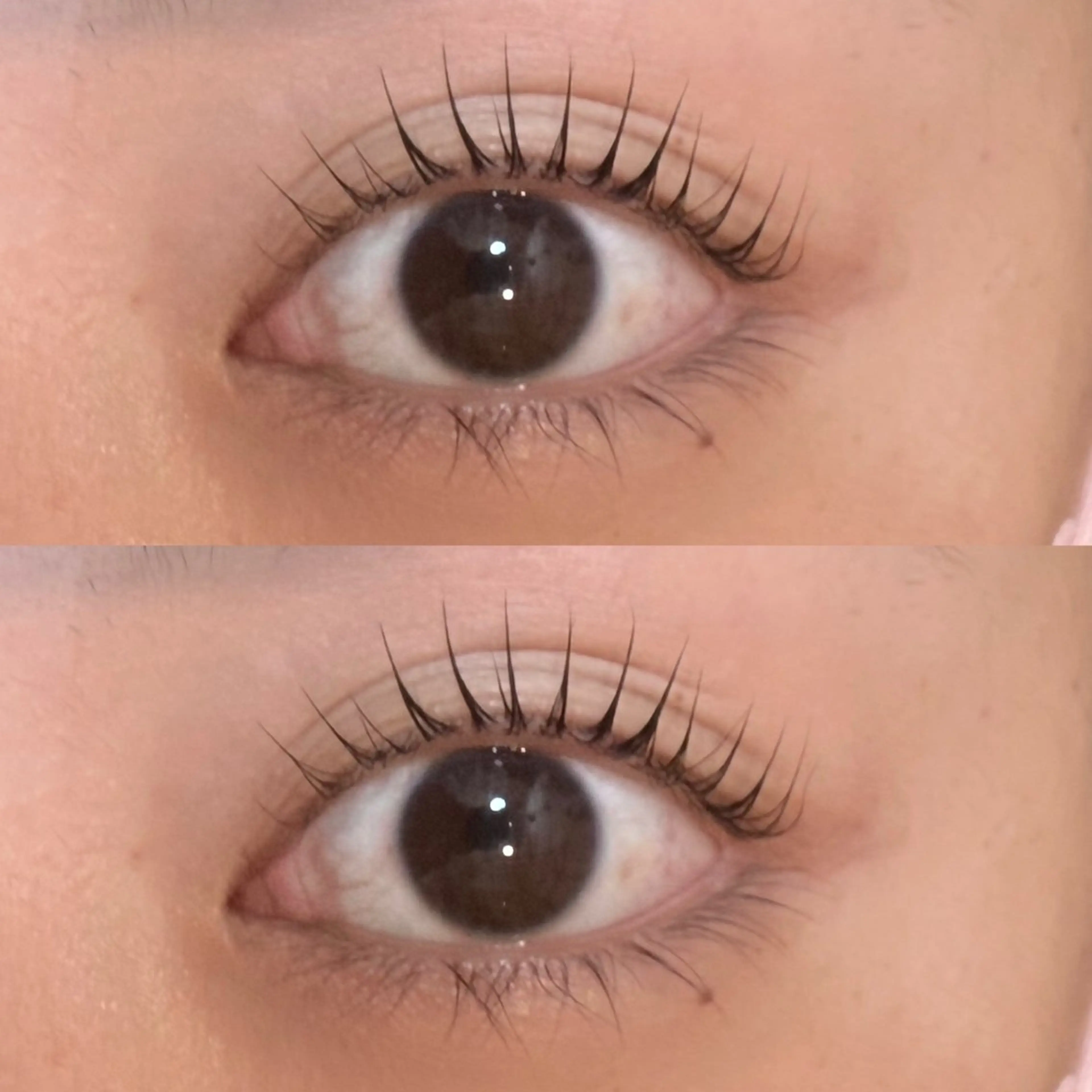 🩷まつ毛パーマ(上のみ)🩷⚠️現金不可⚠️学生限定の写真