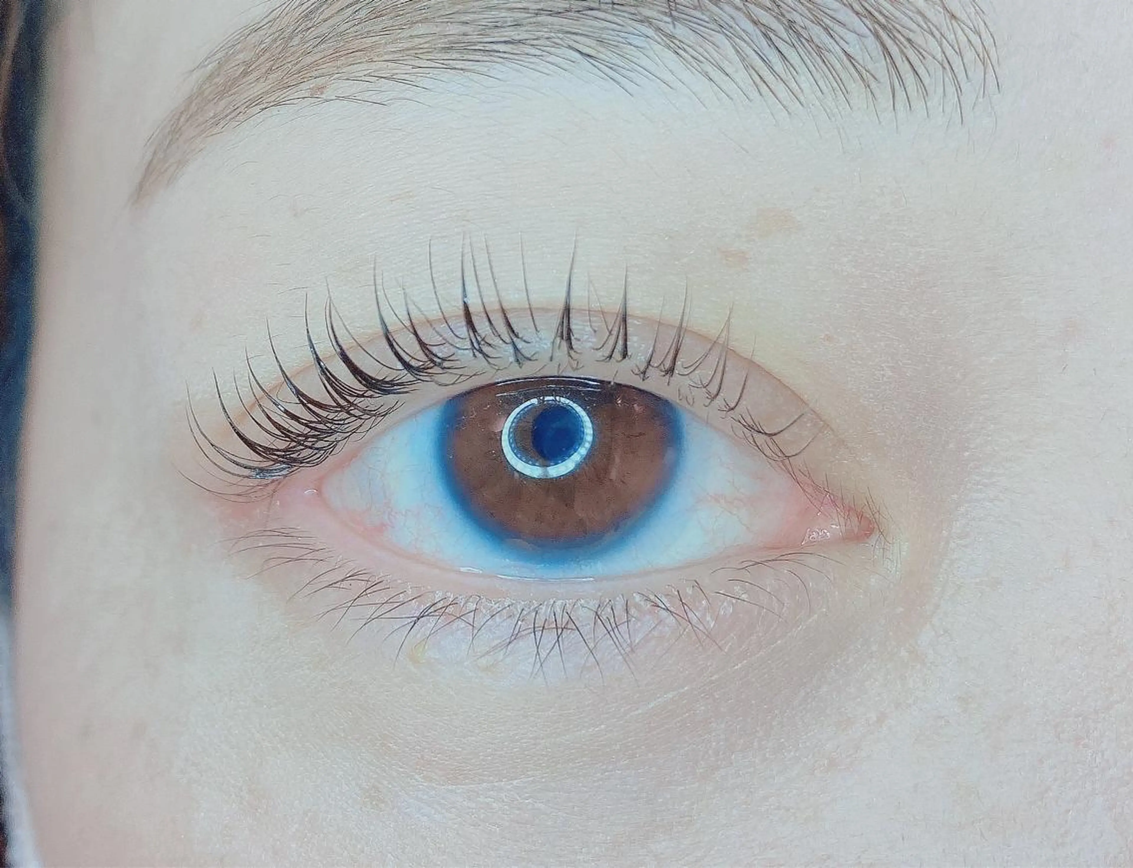 マツエク・マツパ TIARA池袋西口店 店長YASUKA💐のマツエク・マツパデザイン