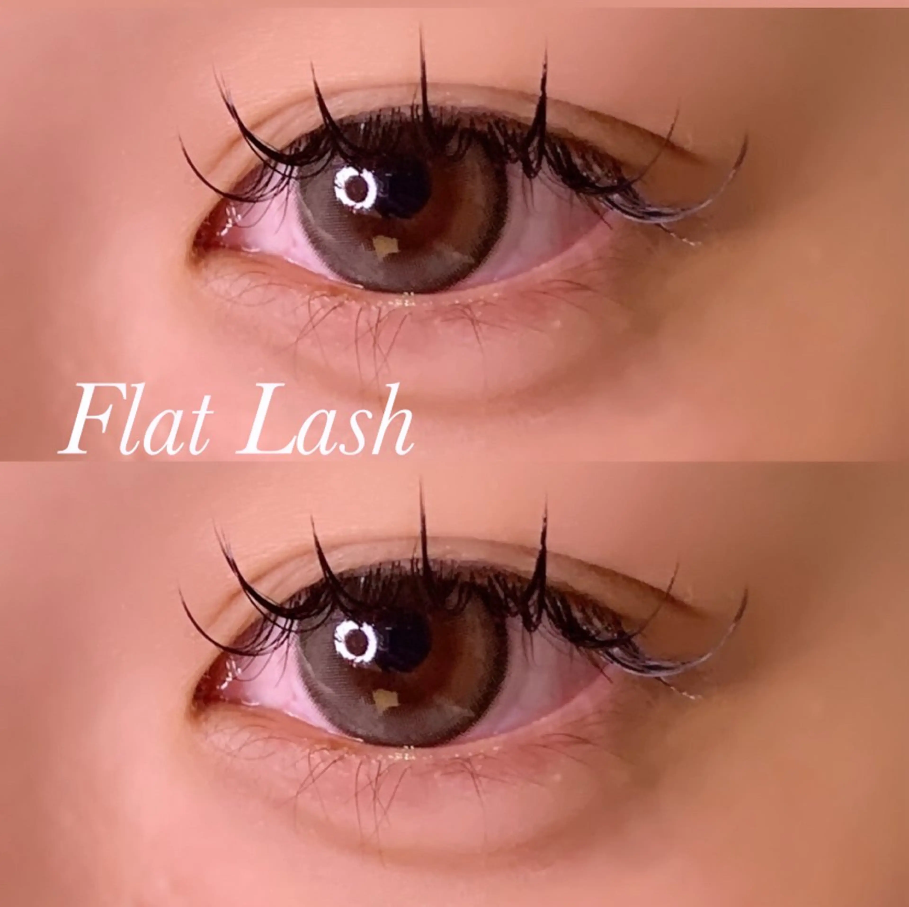 マツエク・マツパ CCカール Cカール フラットラッシュ マツエク Ayumi.pro 🍆N《4階》のマツエク・マツパデザイン