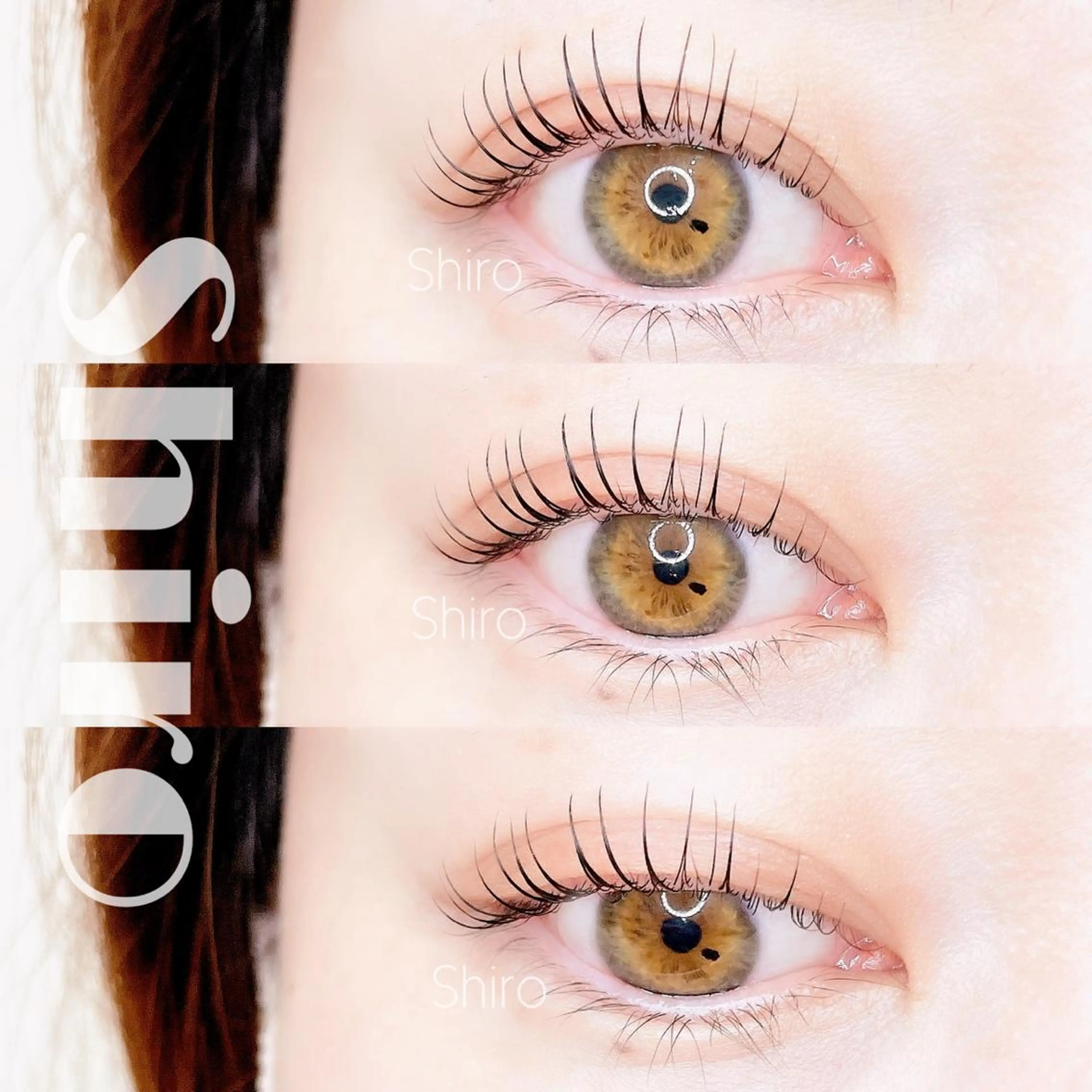 マツエク・マツパ まつげと眉毛の専門店 MeriSPAのマツエク・マツパデザイン