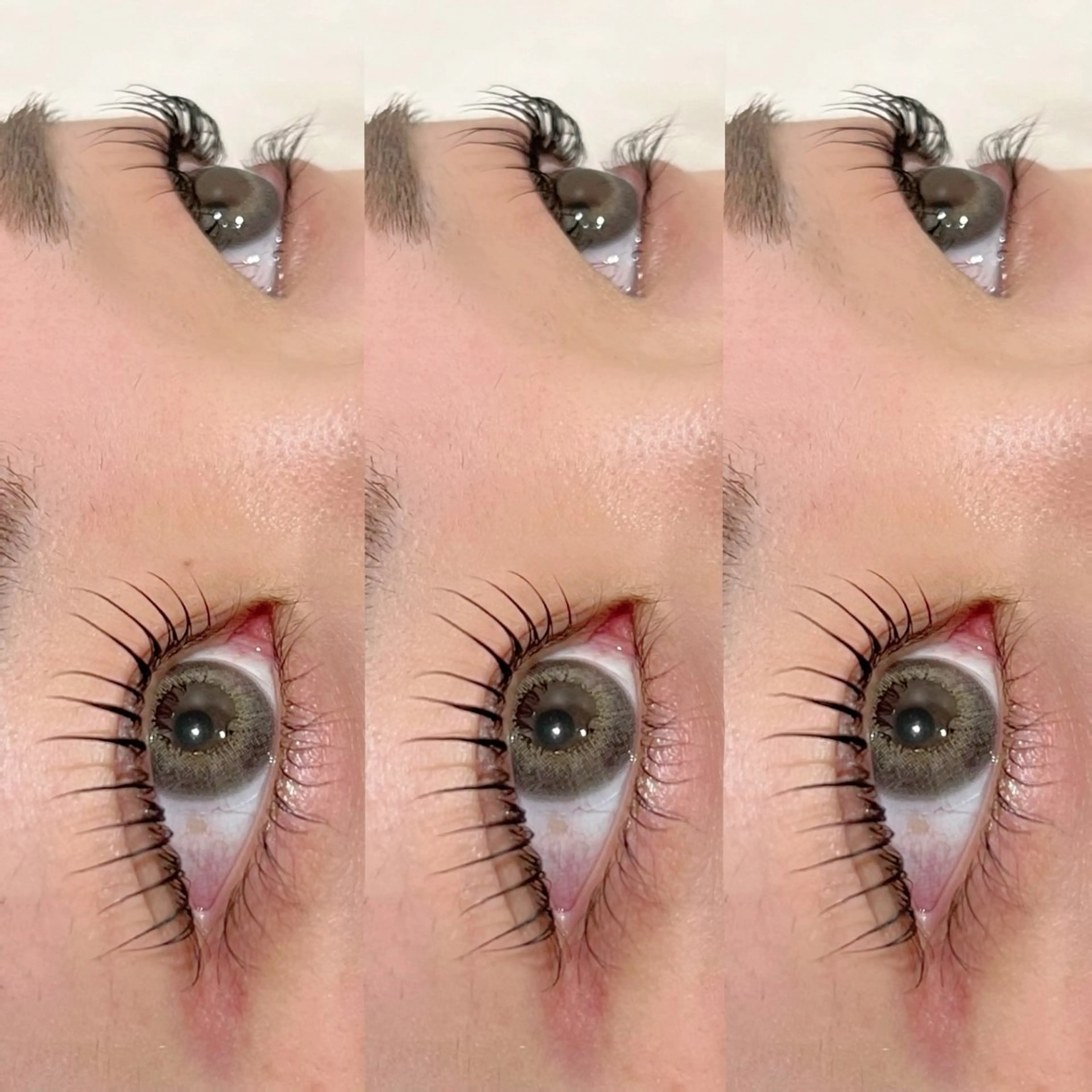 🎀 まつ毛パーマ or パリジェンヌ 🎀の写真