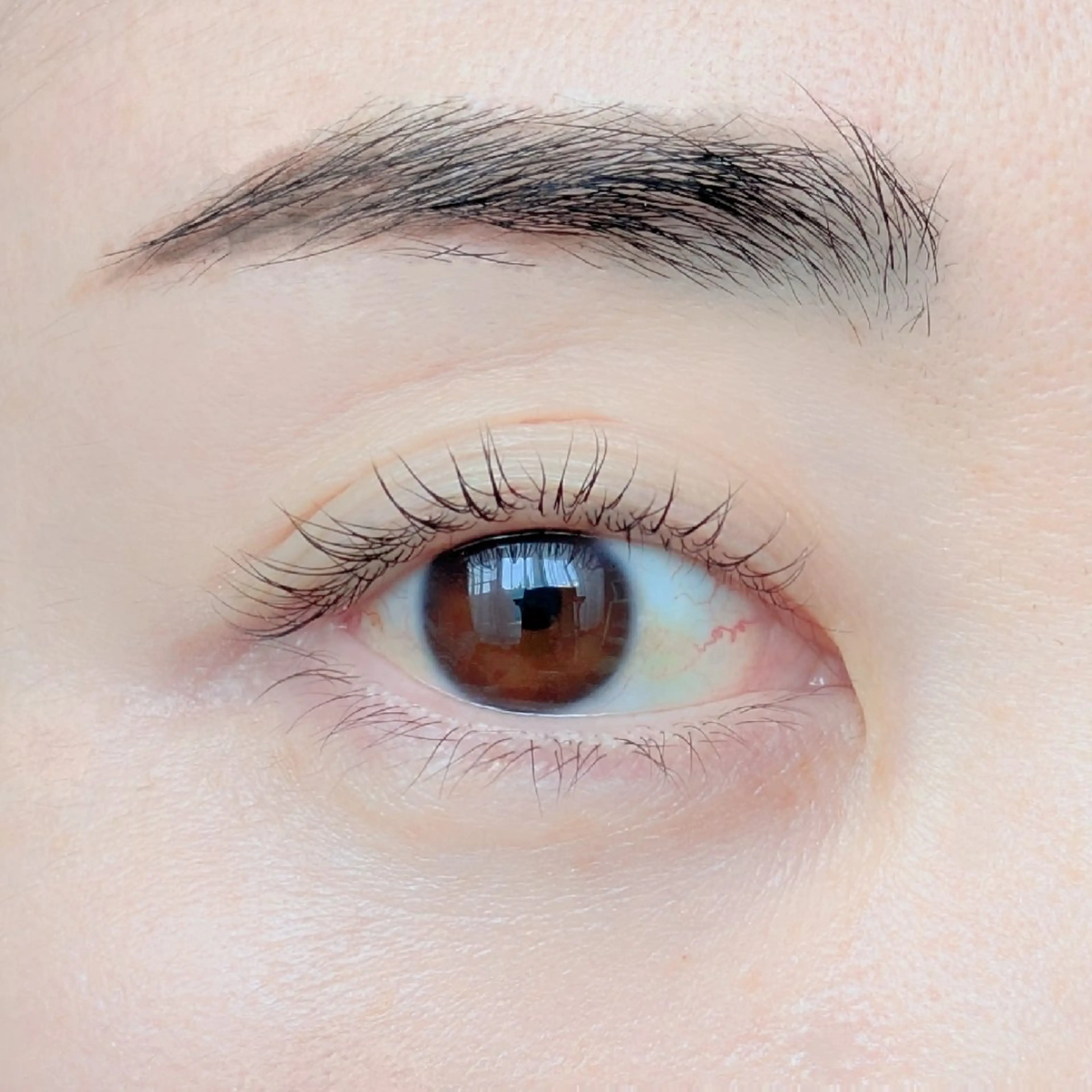 アイブロウ ハリウッドブロウリフト マツパ HBL＆まつ毛パーマ  pono’iAYAの眉毛・アイブロウイメージ