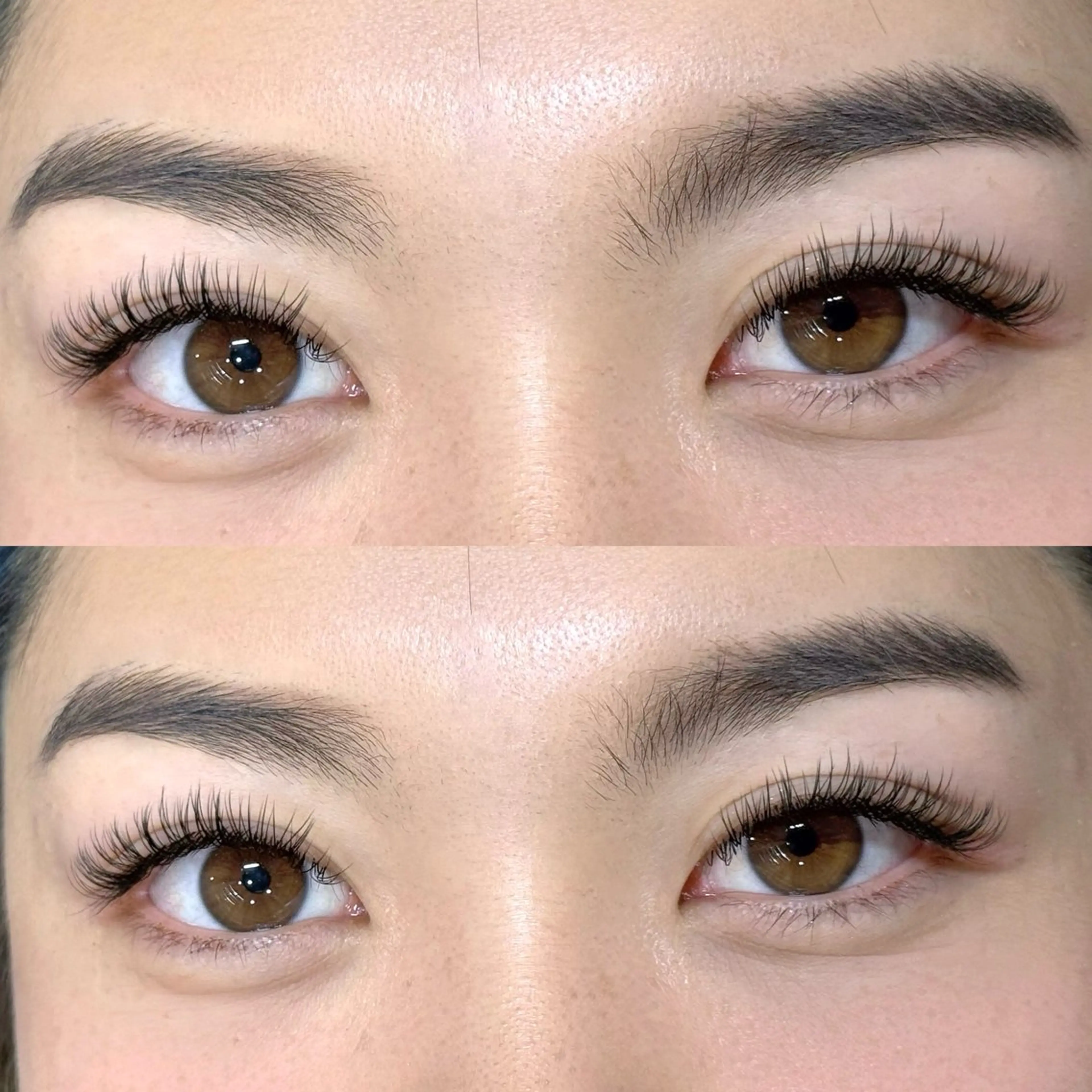 【新生活学生限定】(高校・大学・短大・専門学校・大学院)する方限定の写真