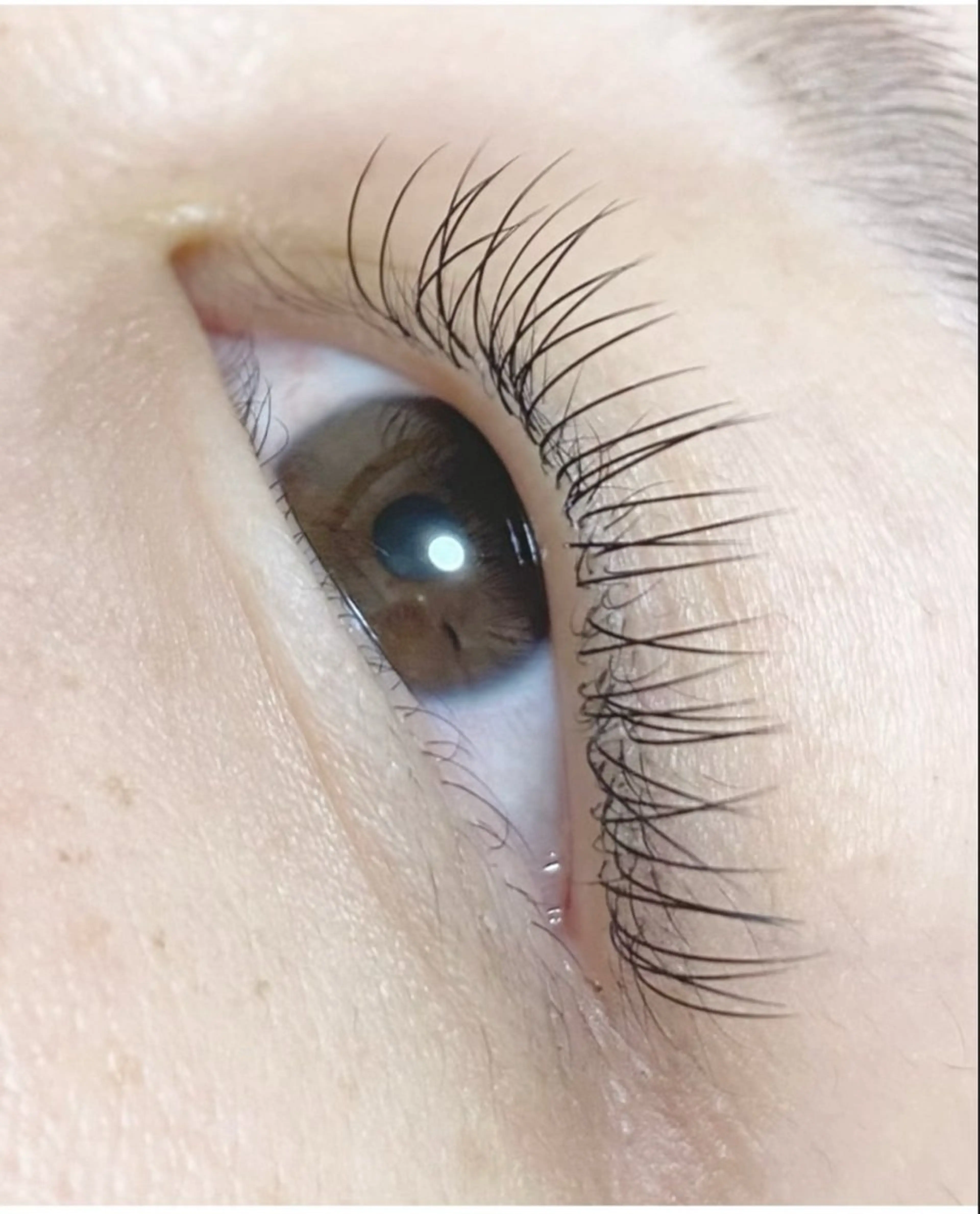 マツエク・マツパ Cカール ナチュラル cil eye lash 春菜のマツエク・マツパデザイン