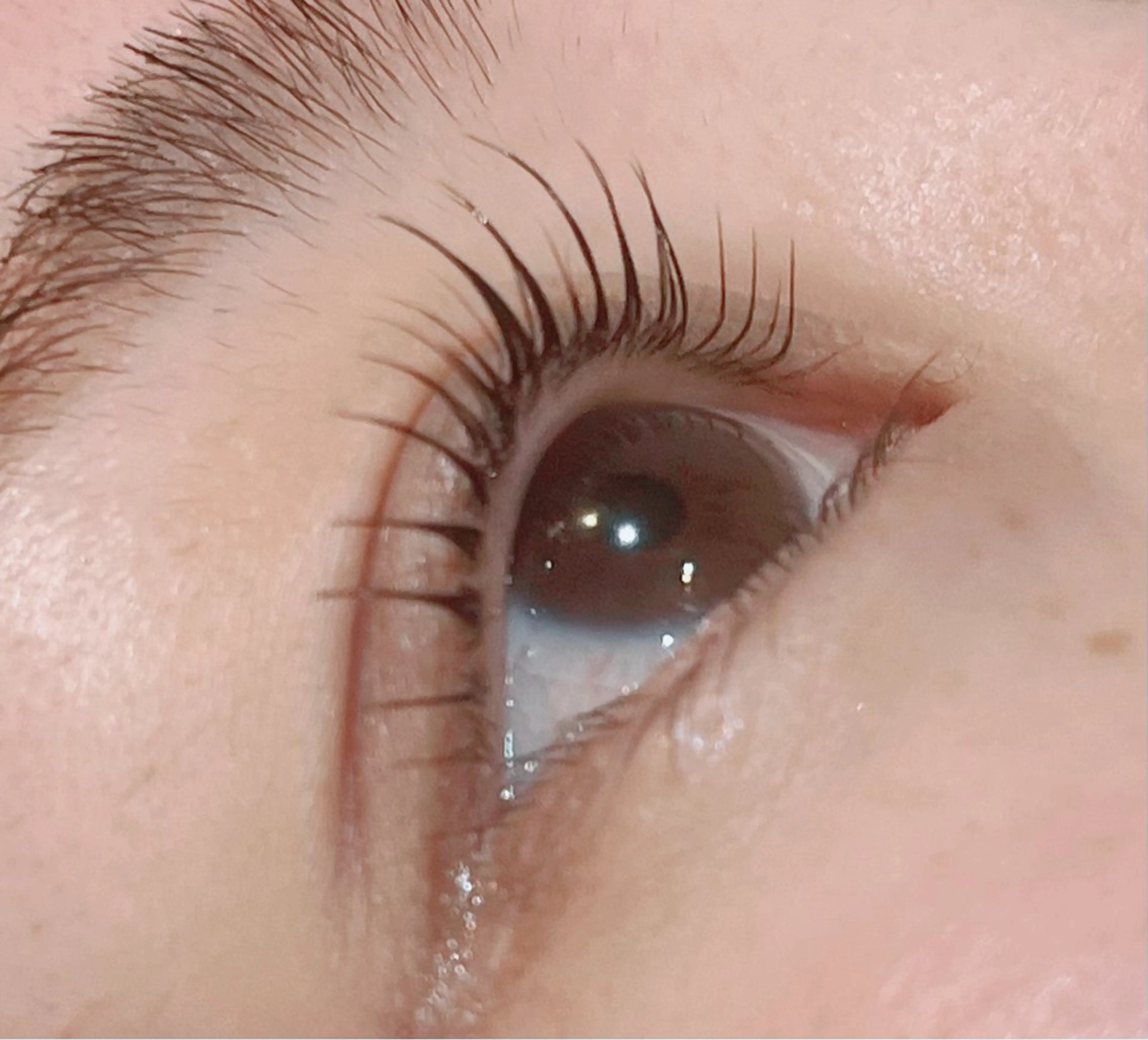 マツエク・マツパ 山田 綾芽のマツエク・マツパデザイン