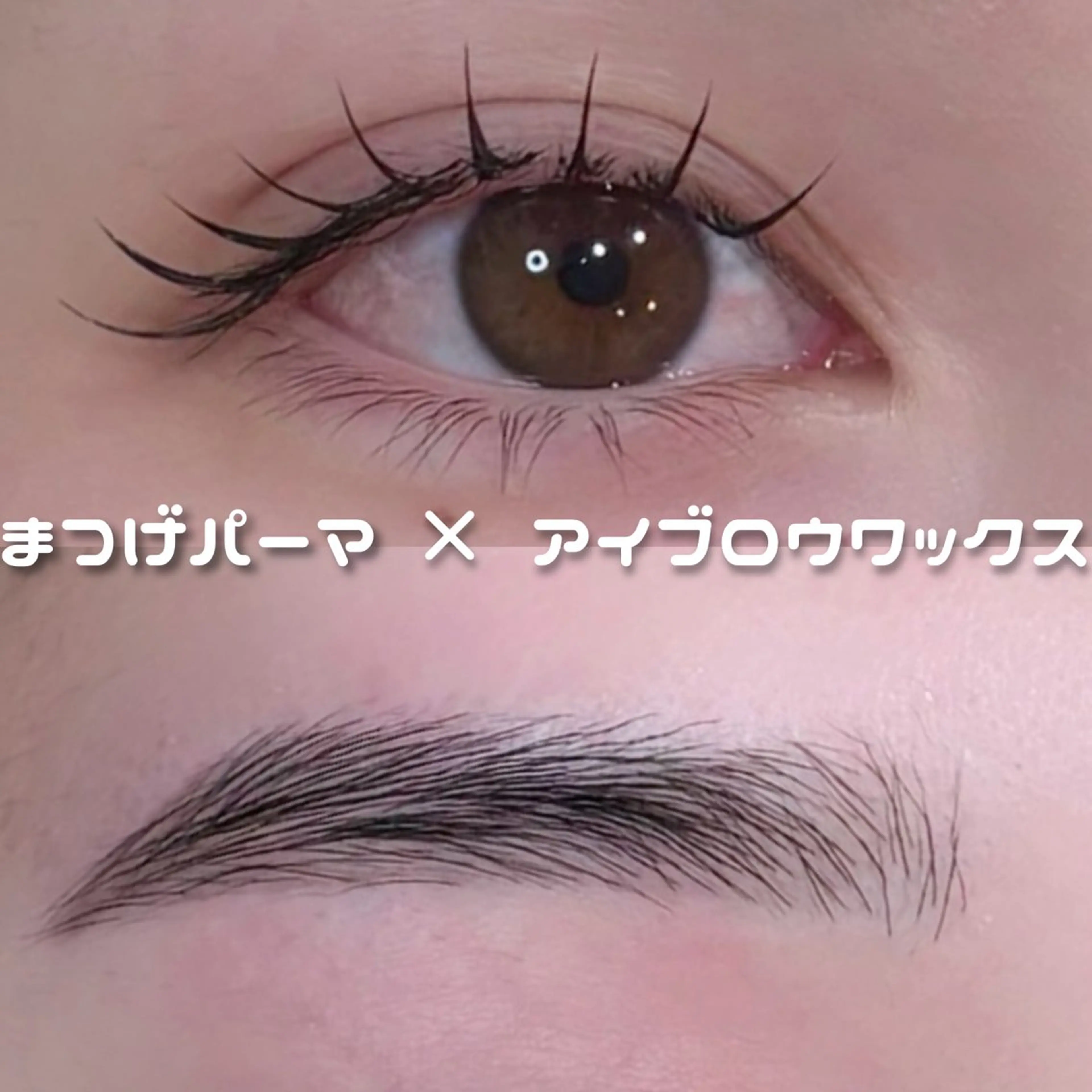 1日で垢抜けたい方に✨まつげパーマ×アイブロウワックス🍯4,980円の写真