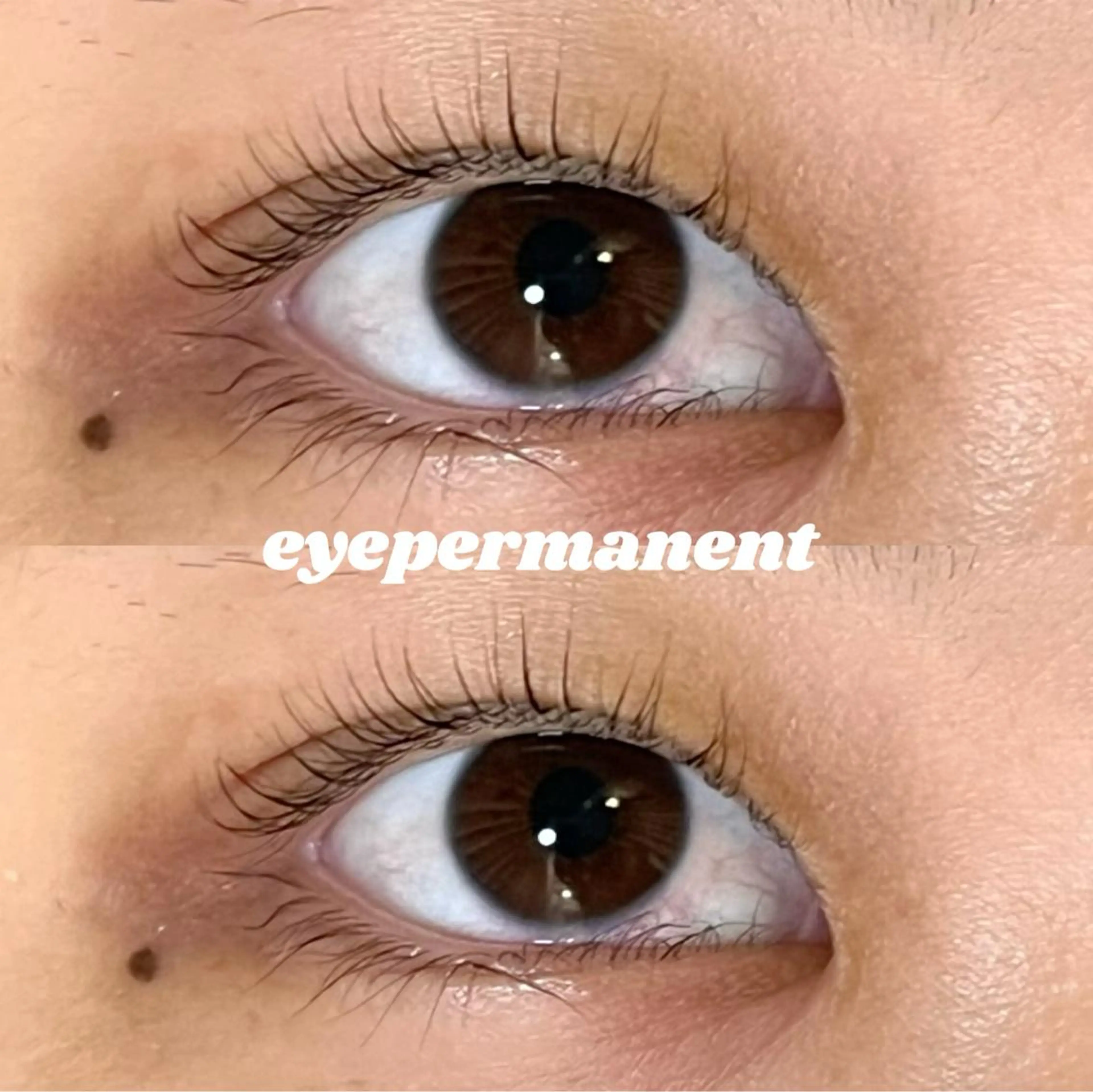 マツエク・マツパ マツパ mona 🎀韓国まつパ/眉毛のマツエク・マツパデザイン