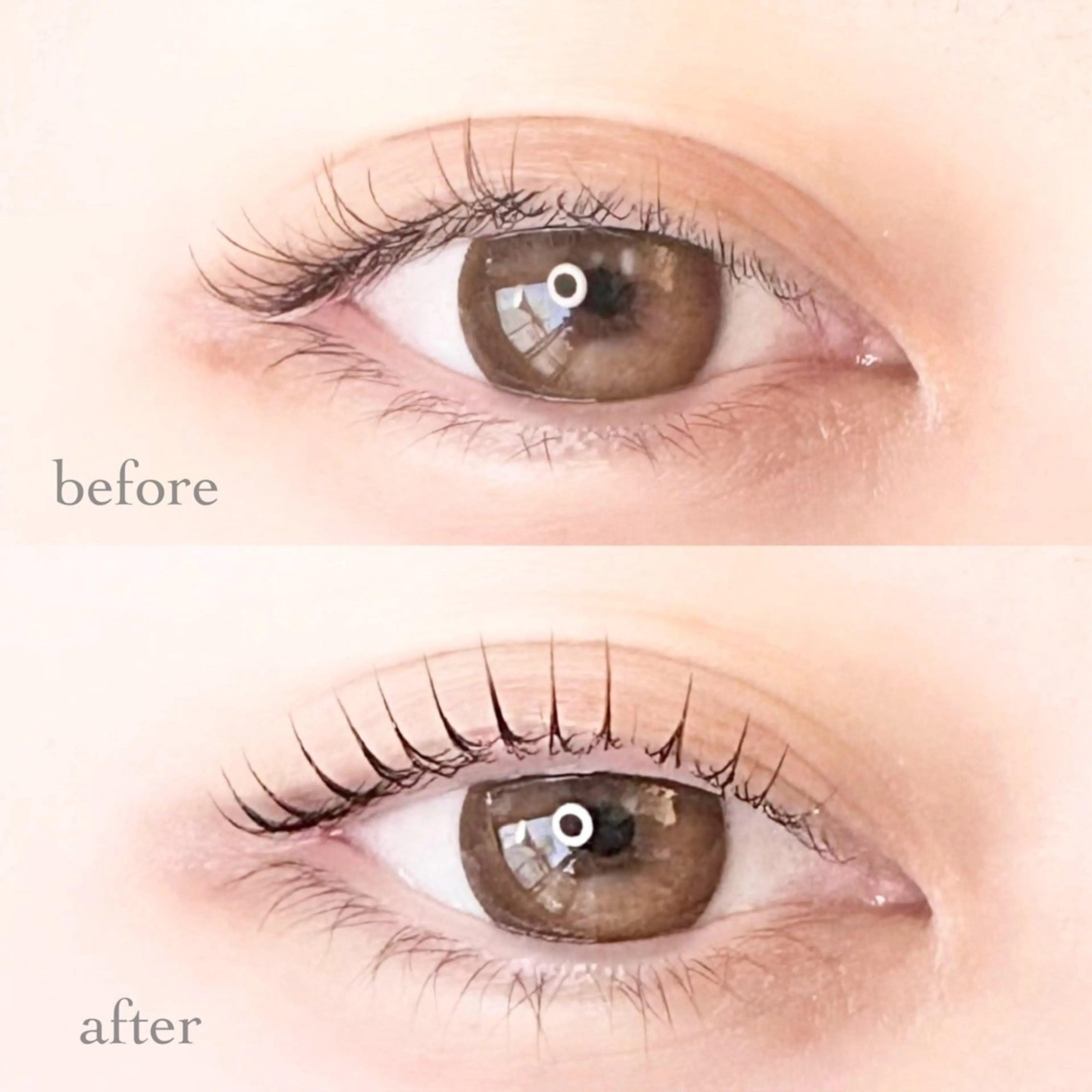 マツエク・マツパ M.Kayama 【2/1〜産休】のマツエク・マツパデザイン