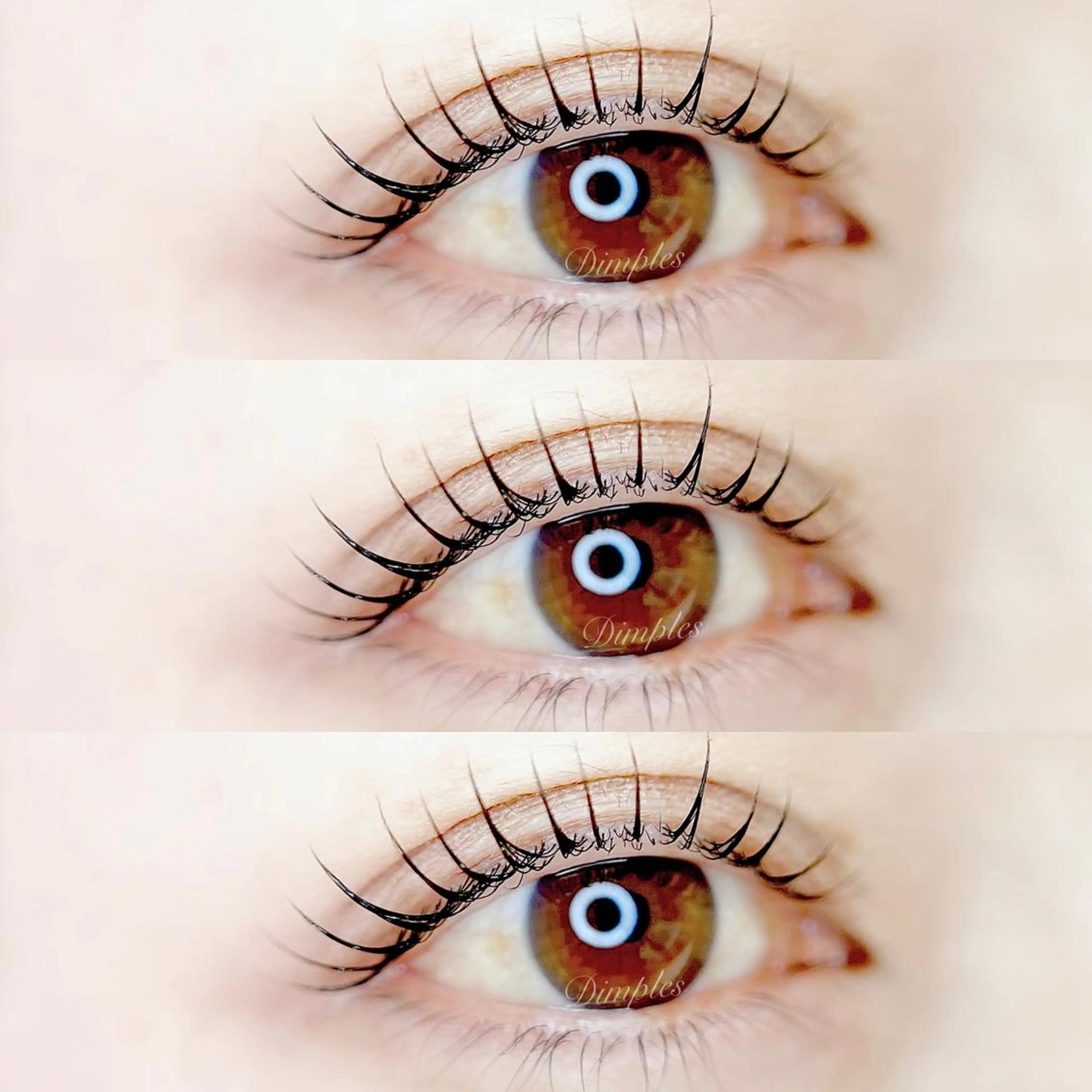 マツエク・マツパ Dimples所属・Dimples eyelashのエステ・リラクイメージ