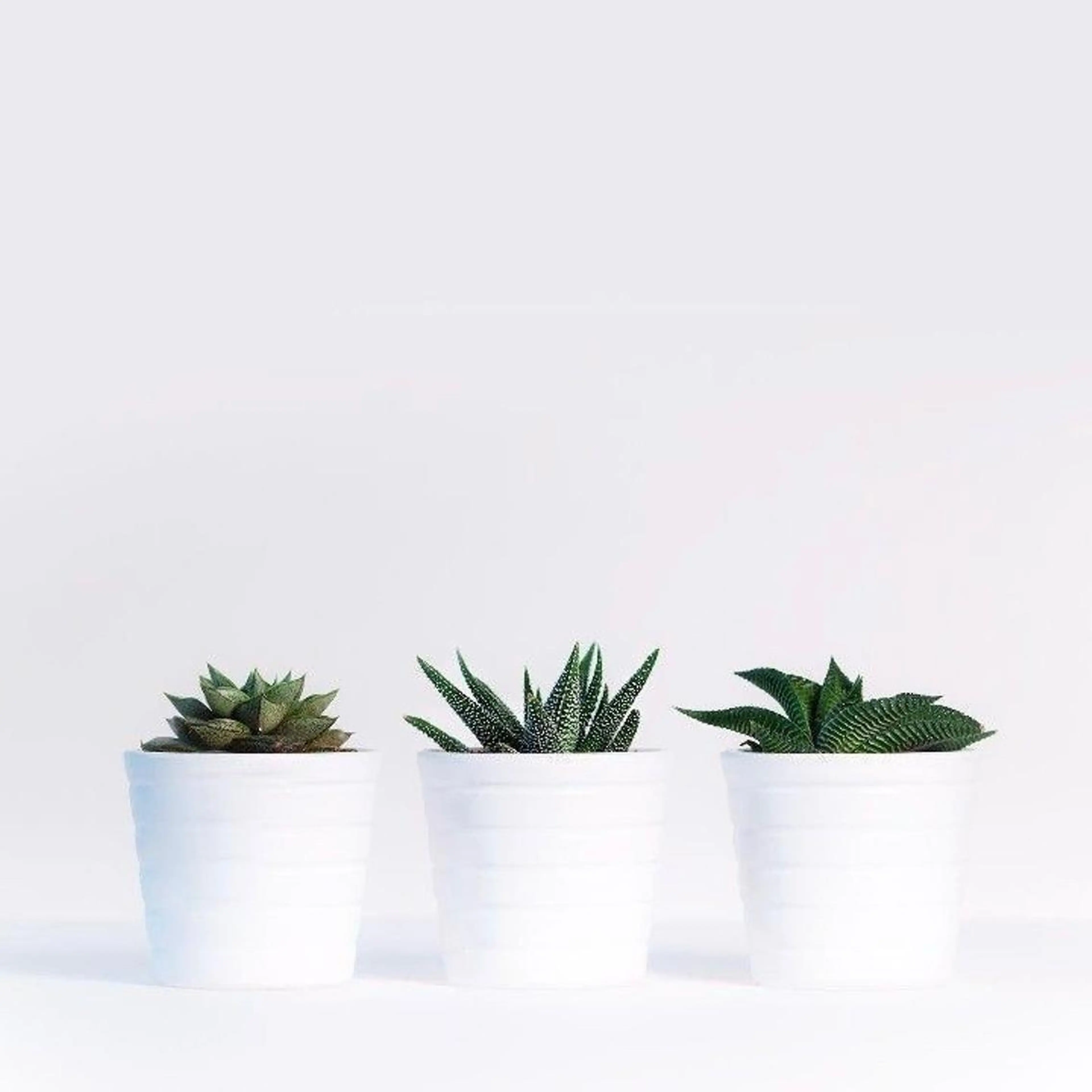 メンズ マツエク・マツパ アイブロウ brace 竹田愛海のエステ・リラクイメージ