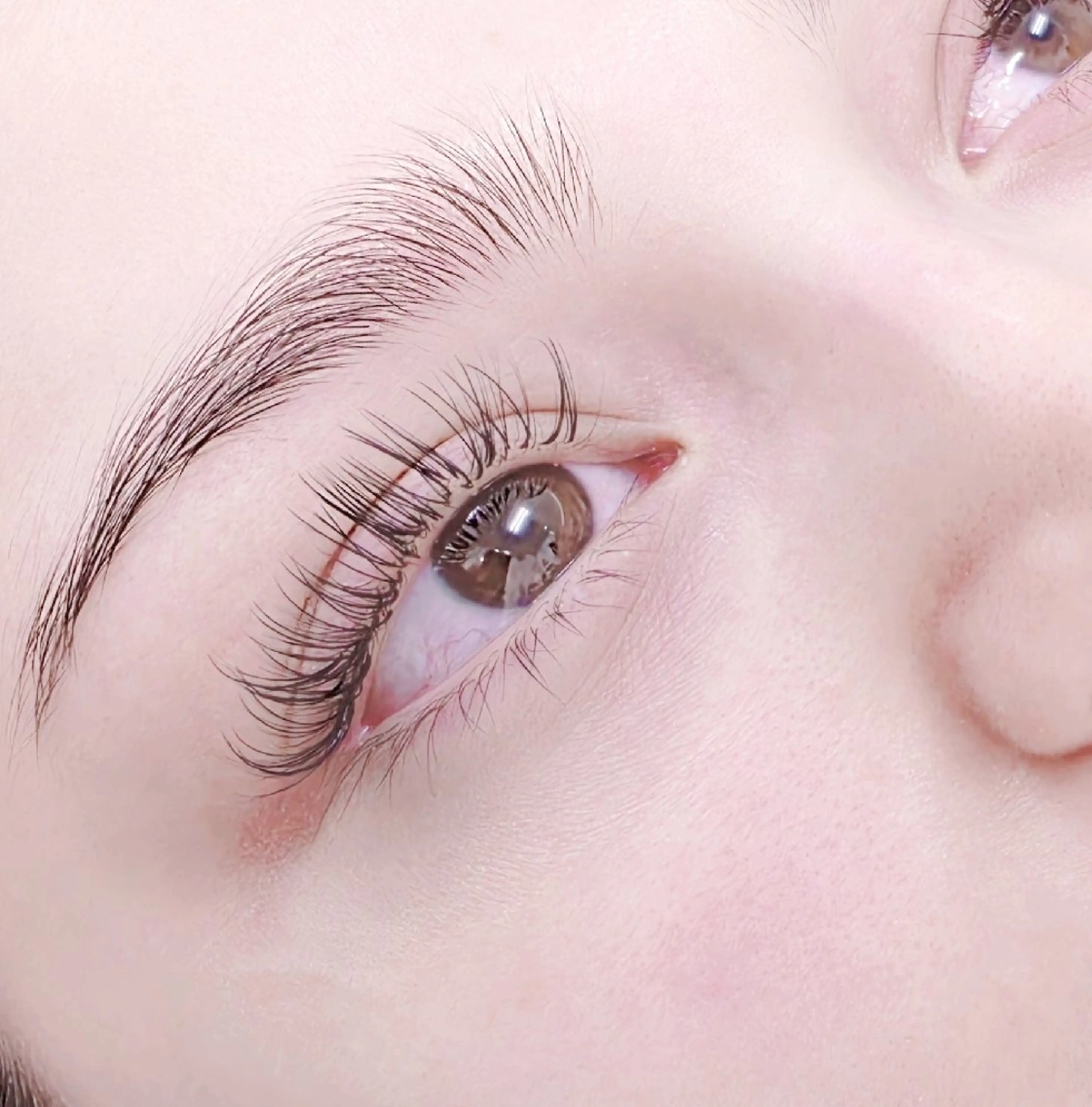 束感作るなら♪バインドロック上80束☆の写真