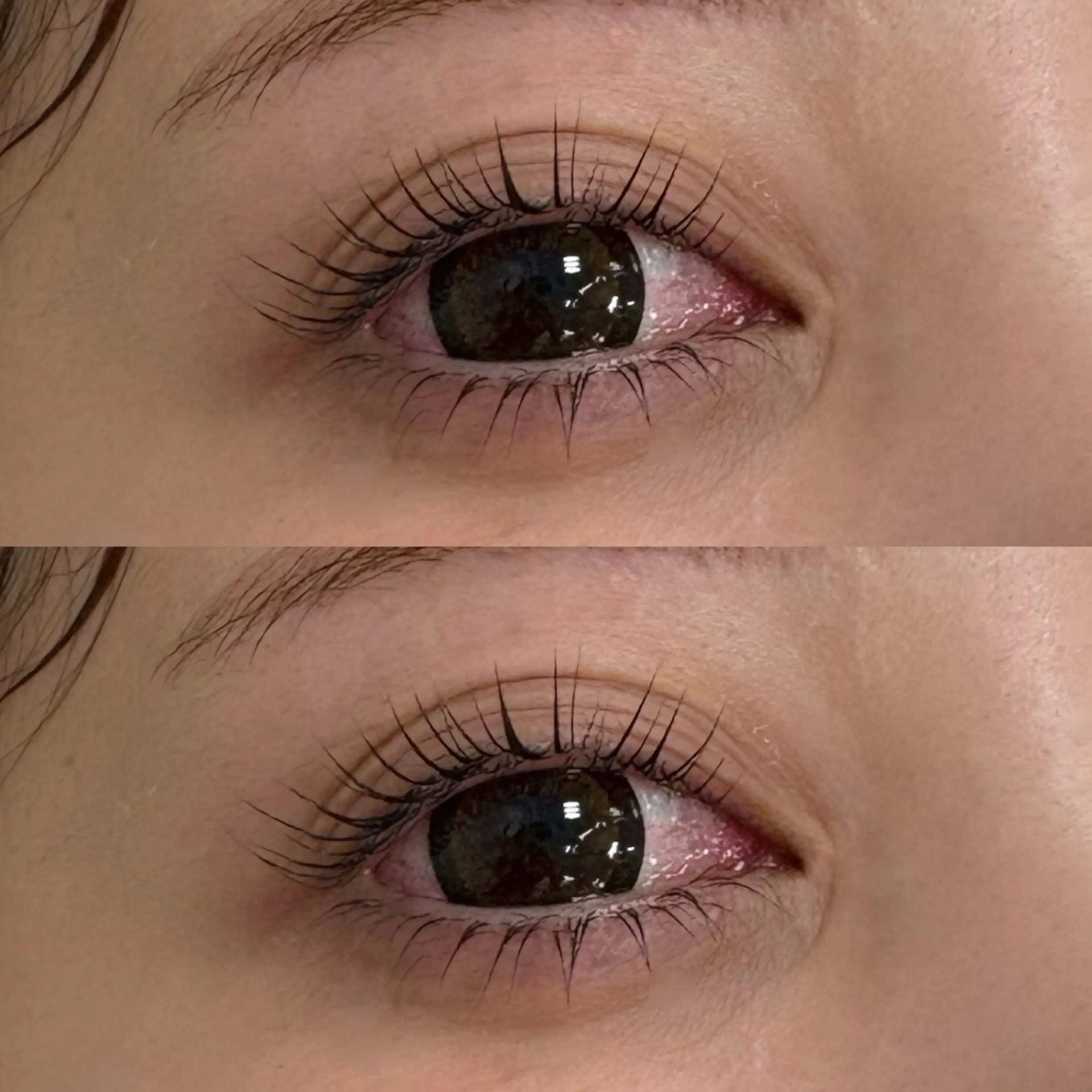 🦋ミニモ限定🦋500円off🫧パリジェンヌラッシュリフト🫧トリートメント仕上げ👀🩵町田／駅近/マツパの写真