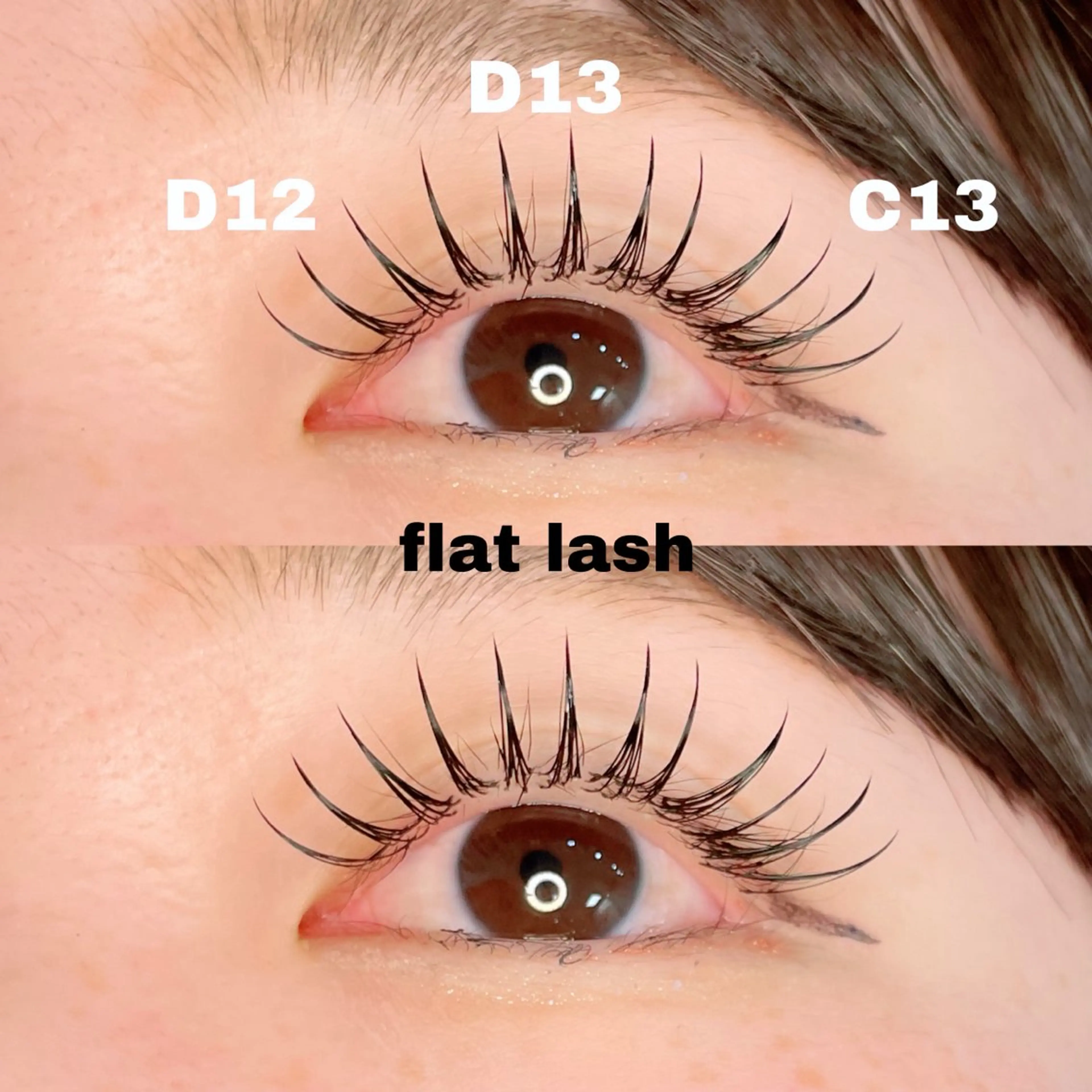 【フラットラッシュ100本】［オフ・カラー・再来様 各500円］［アップワード追加＋1000円］の写真