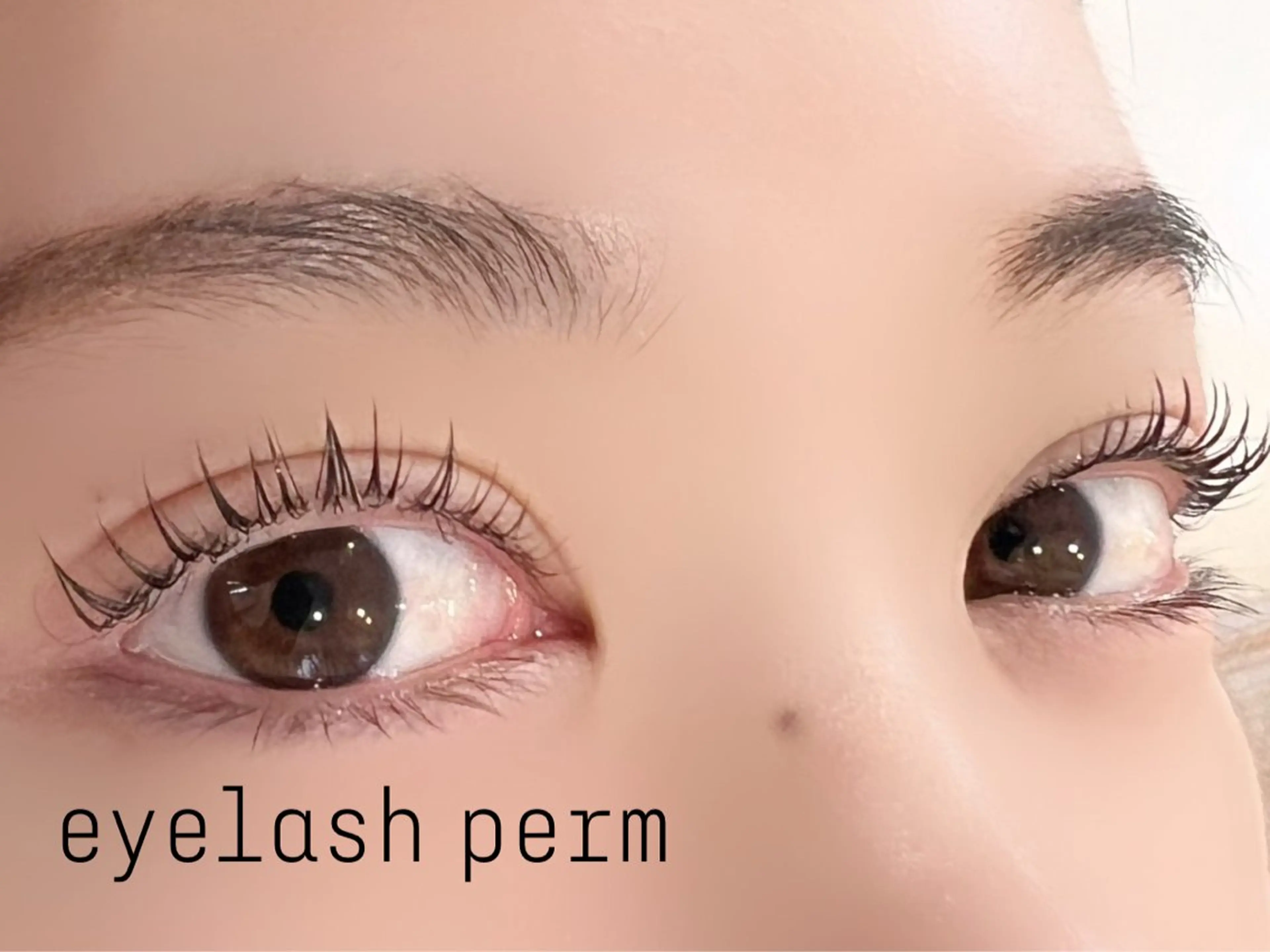 マツエク・マツパ マツパ eyelashZen ♥️HIMEのマツエク・マツパデザイン