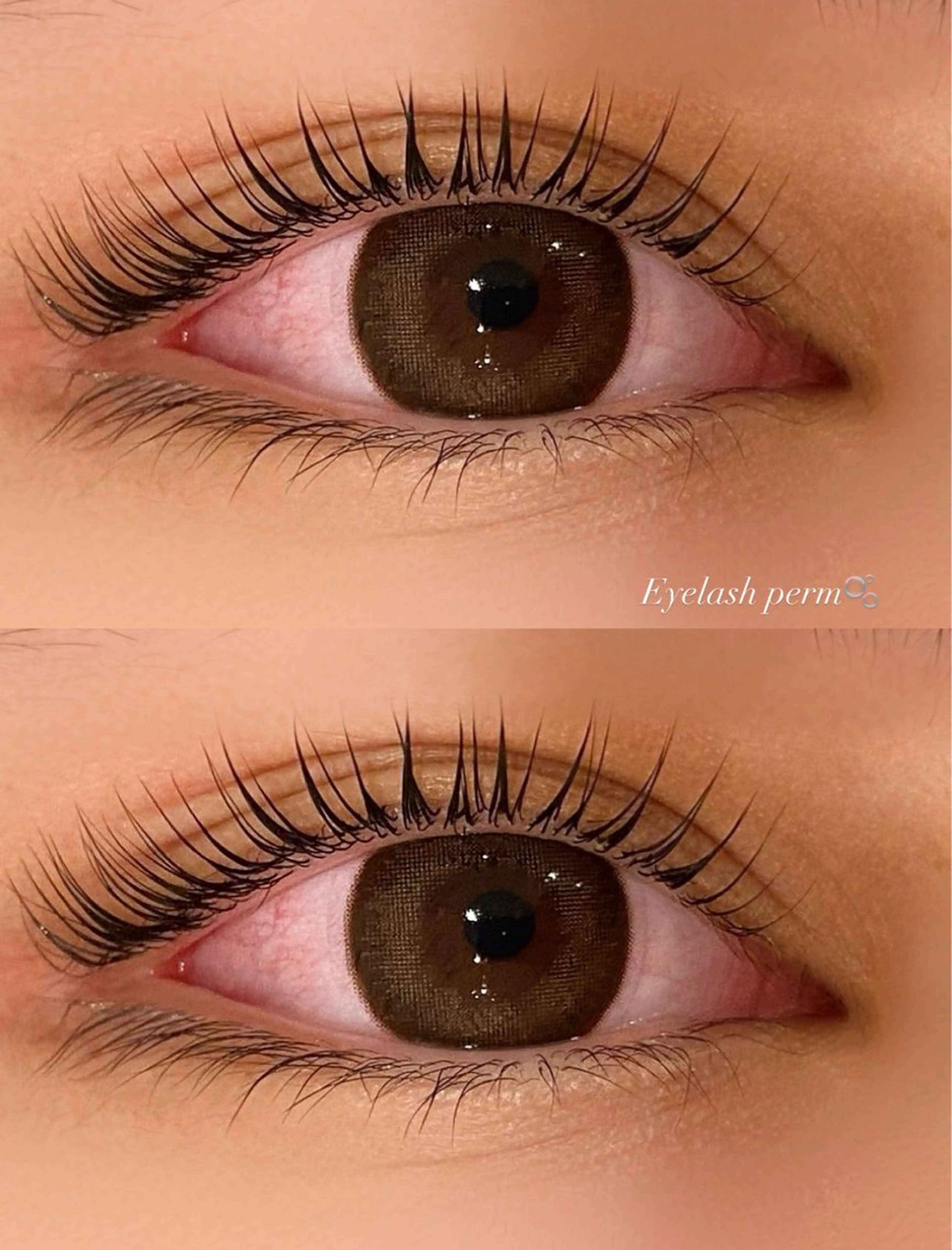 【オフ無し限定】💕まつげパーマ無料モデル🫧の写真