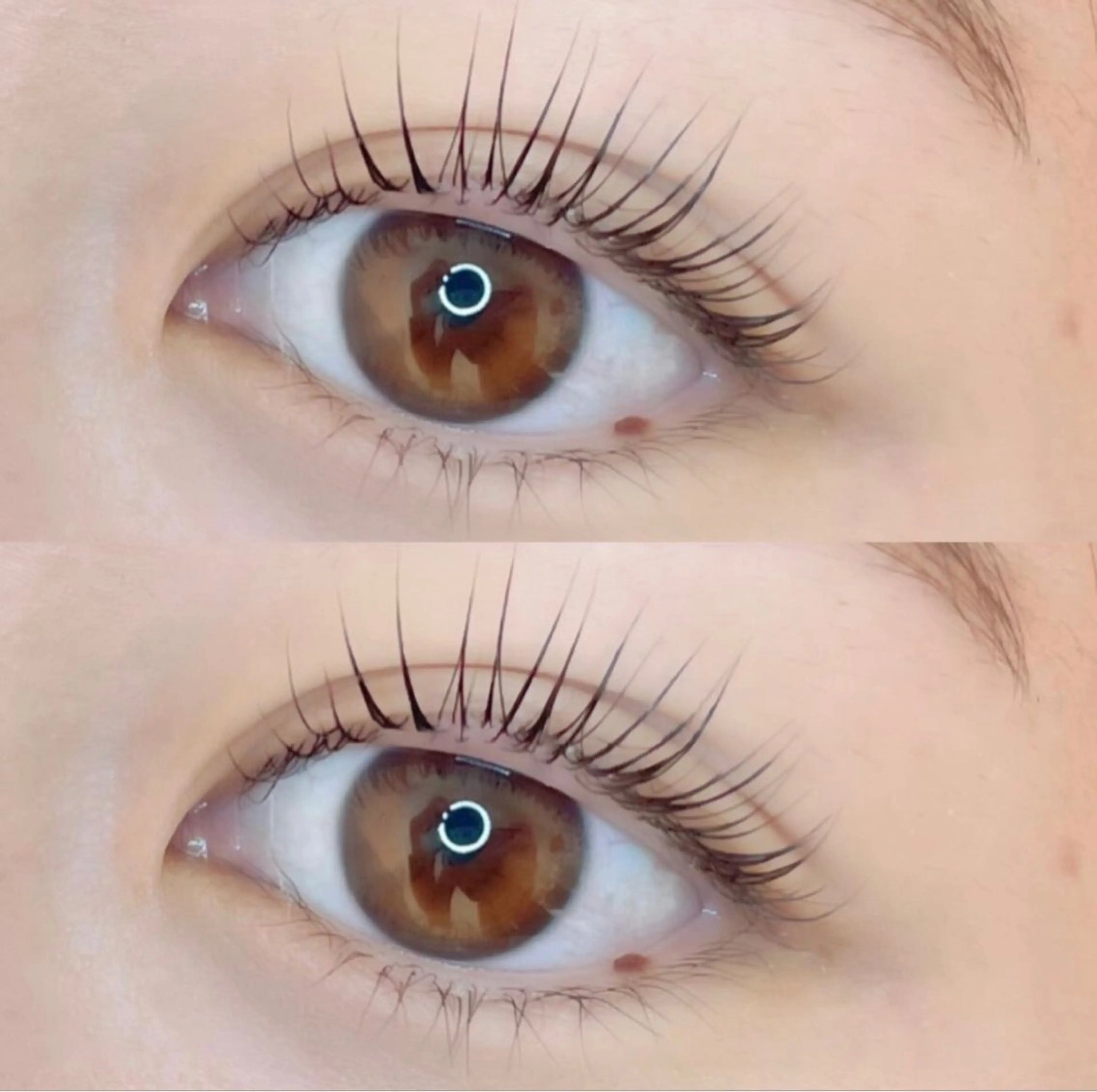 【次世代まつ毛パーマ】パリジェンヌラッシュリフト👀※3回迄　保湿コーティング付き💗※再来のパーマ(ロッド選択可)の写真