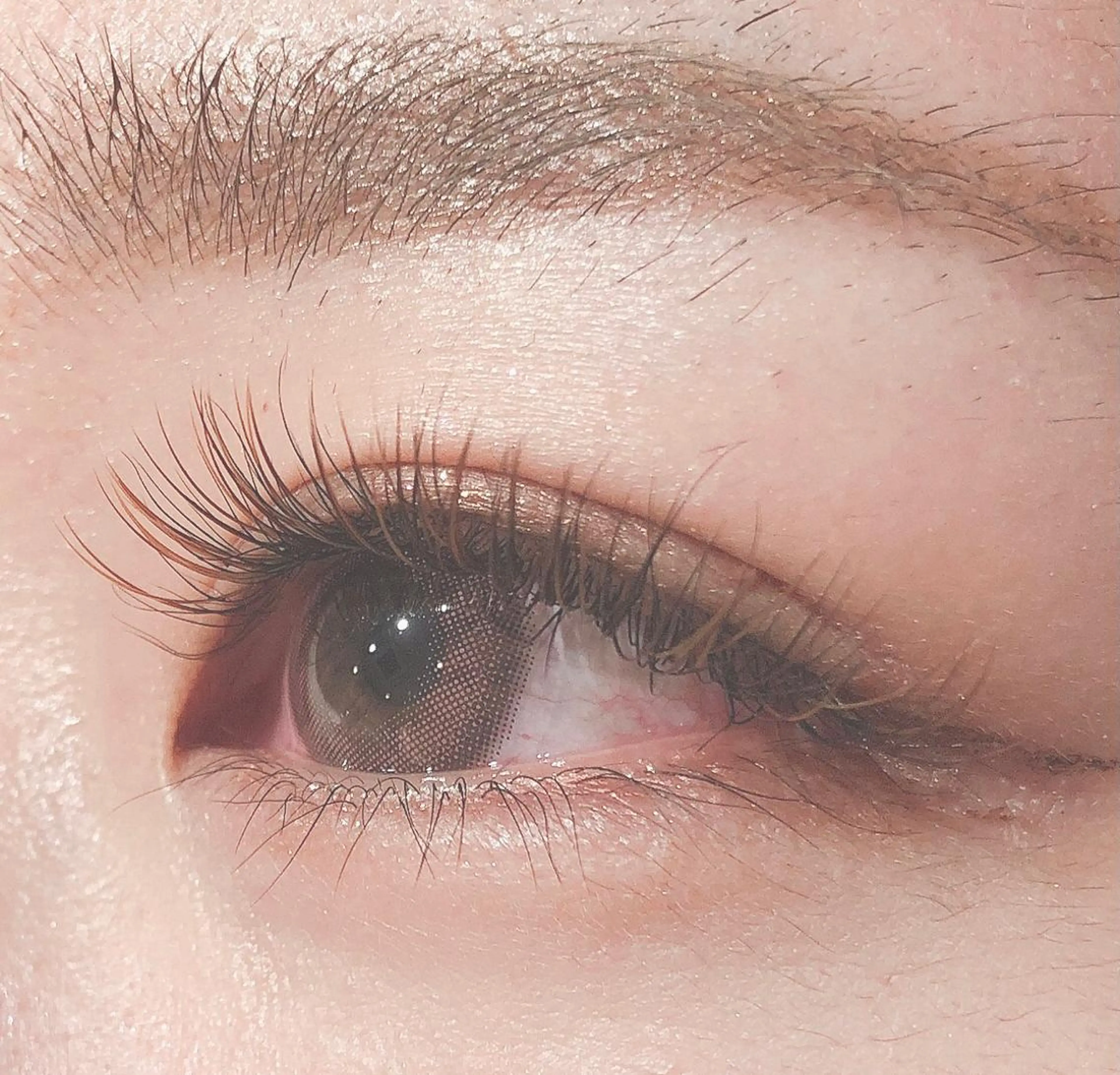 マツエク・マツパ カラーマツエク Favori 二宮のマツエク・マツパデザイン