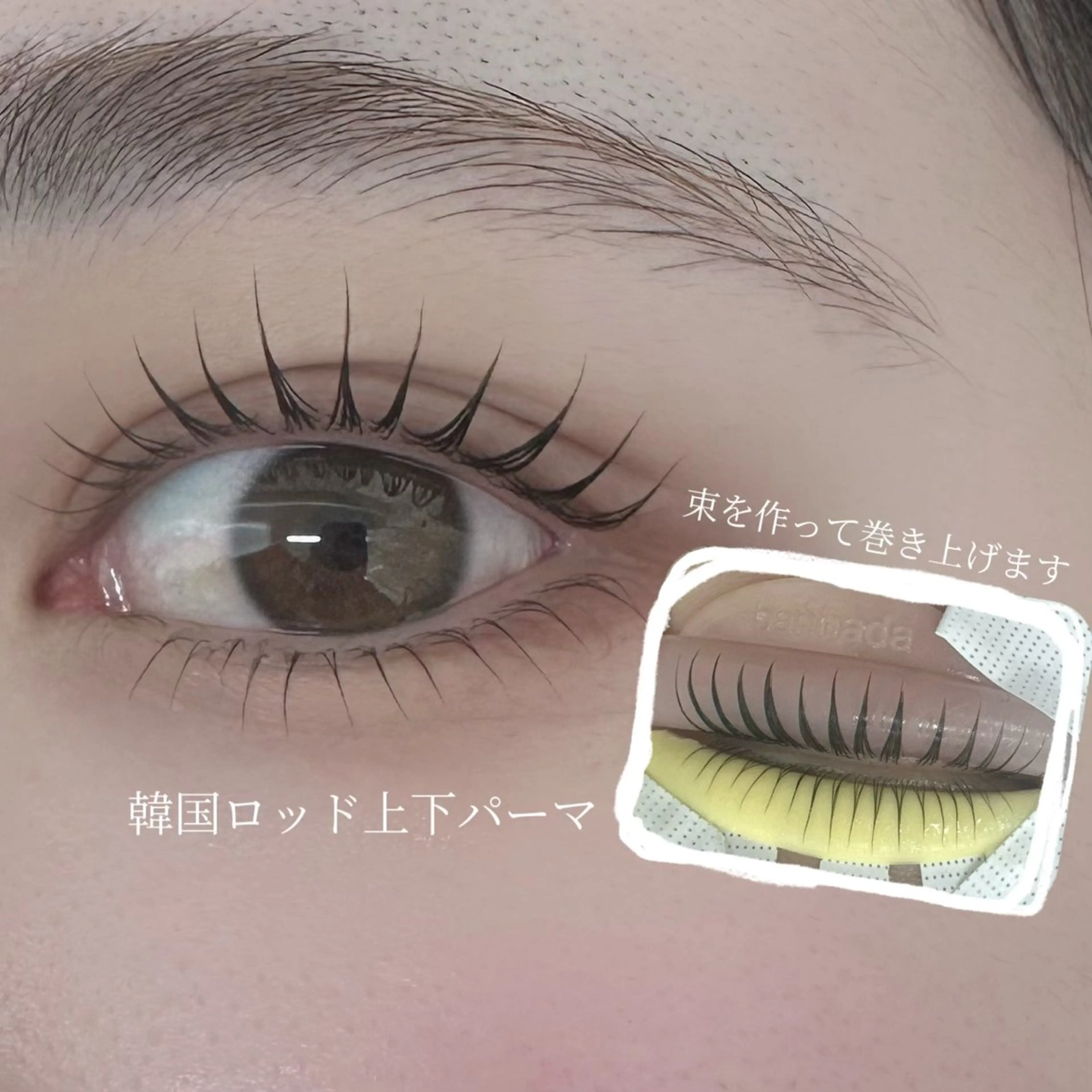 マツエク・マツパ alice tokyo🌿鈴木のマツエク・マツパデザイン