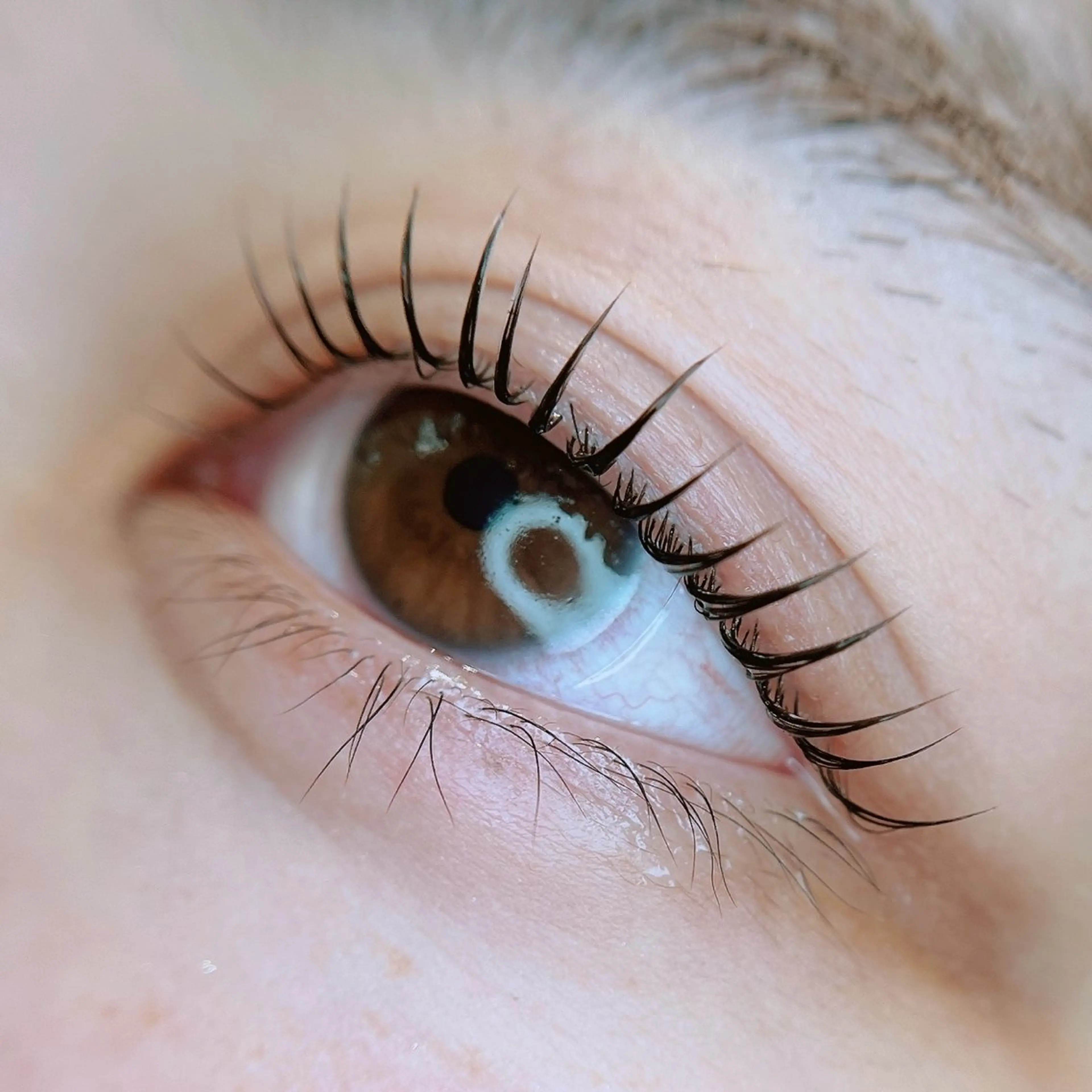 マツエク・マツパ 岡田 萌々香のマツエク・マツパデザイン