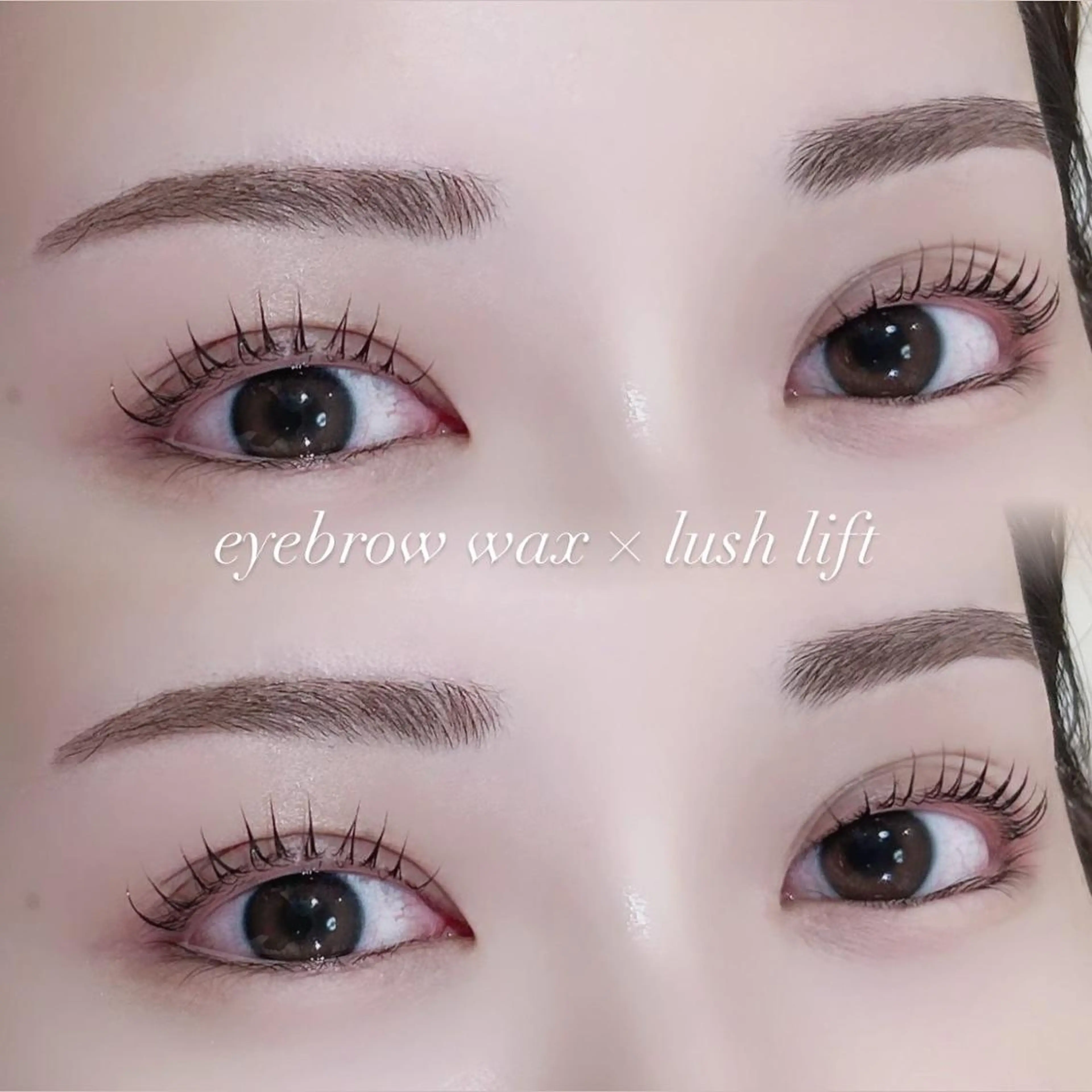 【4月21日10時限定🌟】まつげパーマ×アイブロウワックスの写真