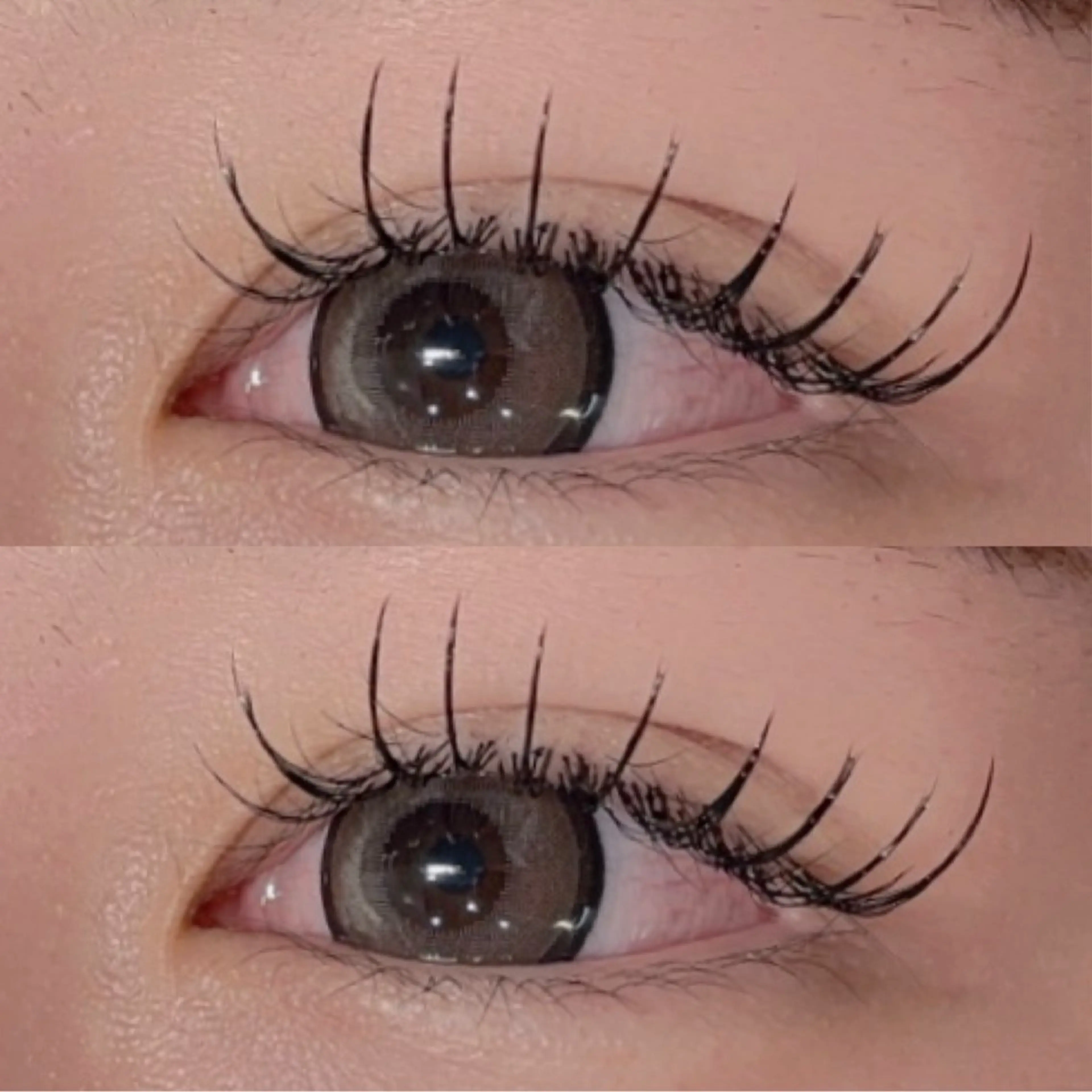 マツエク シングル (120本まで) J/Ｃ/CCカールなどの写真