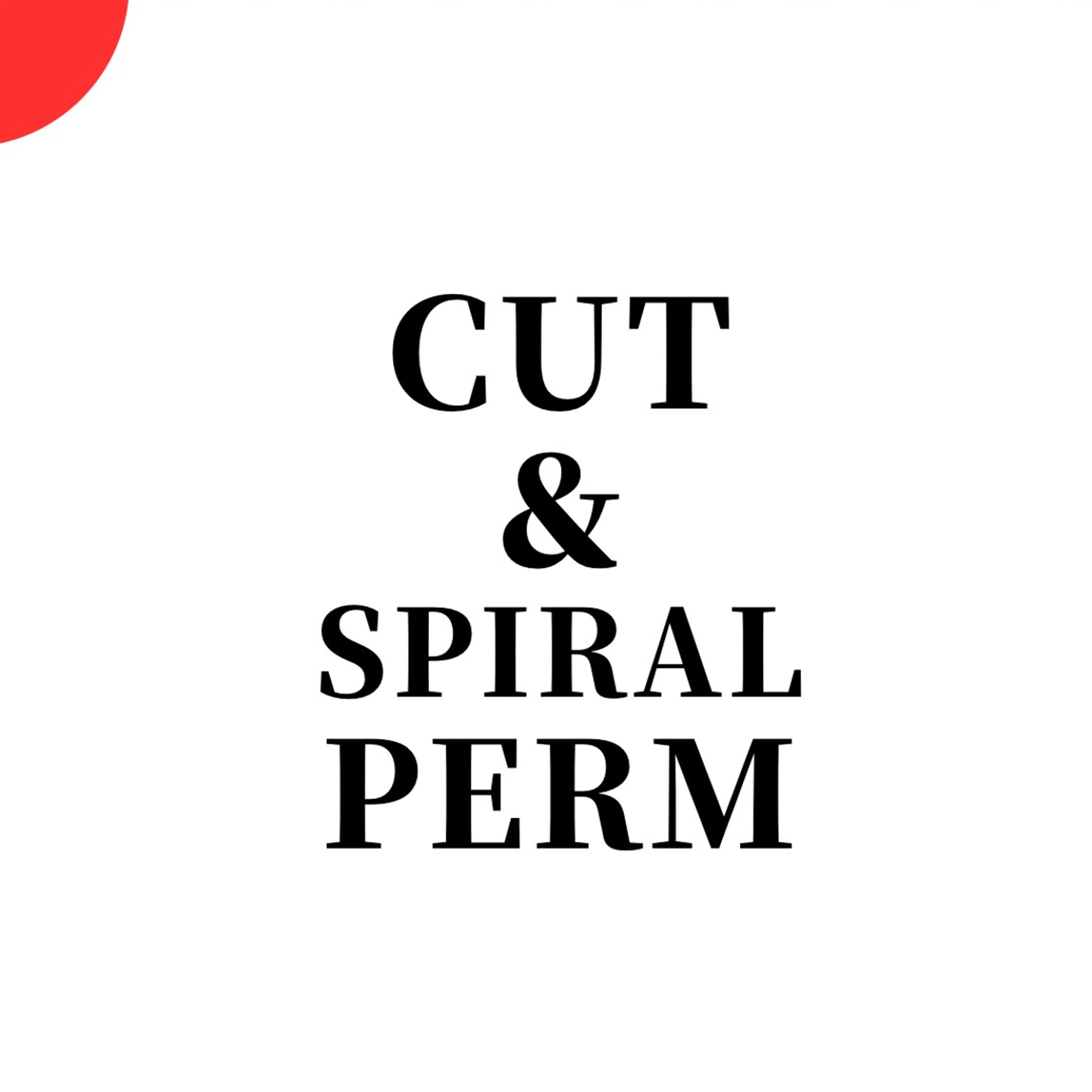 メンズ カット パーマ ヘアセット シャドウ/フェザー ニュアンスヘアメンズのヘアスタイル