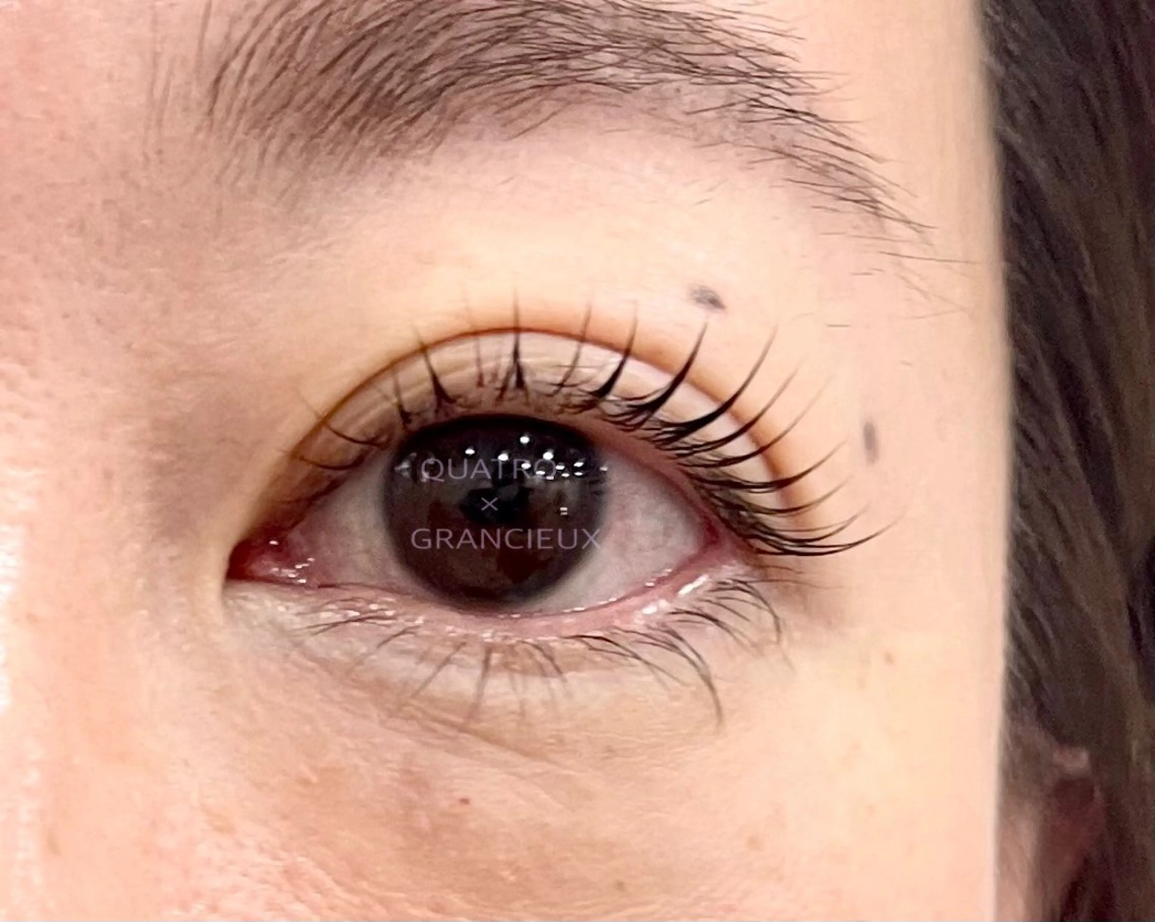 🌼次世代まつ毛パーマ/パリジェンヌ🌼アイシャンプー&トリートメント付き🫧✨【ミニモ限定クーポン】の写真