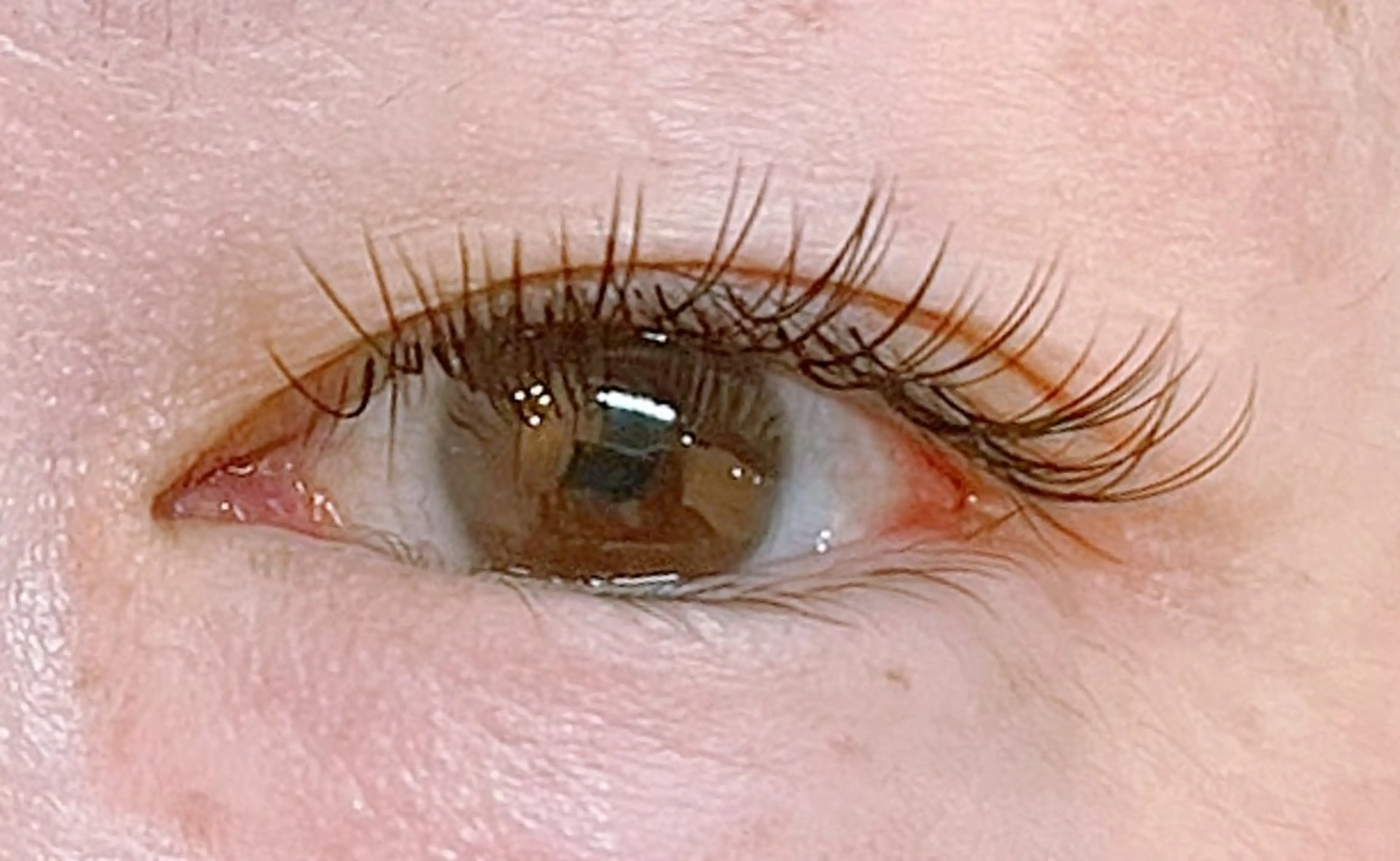 🩷ダブルフラット60束(120本)🩷モデルさん募集中!の写真