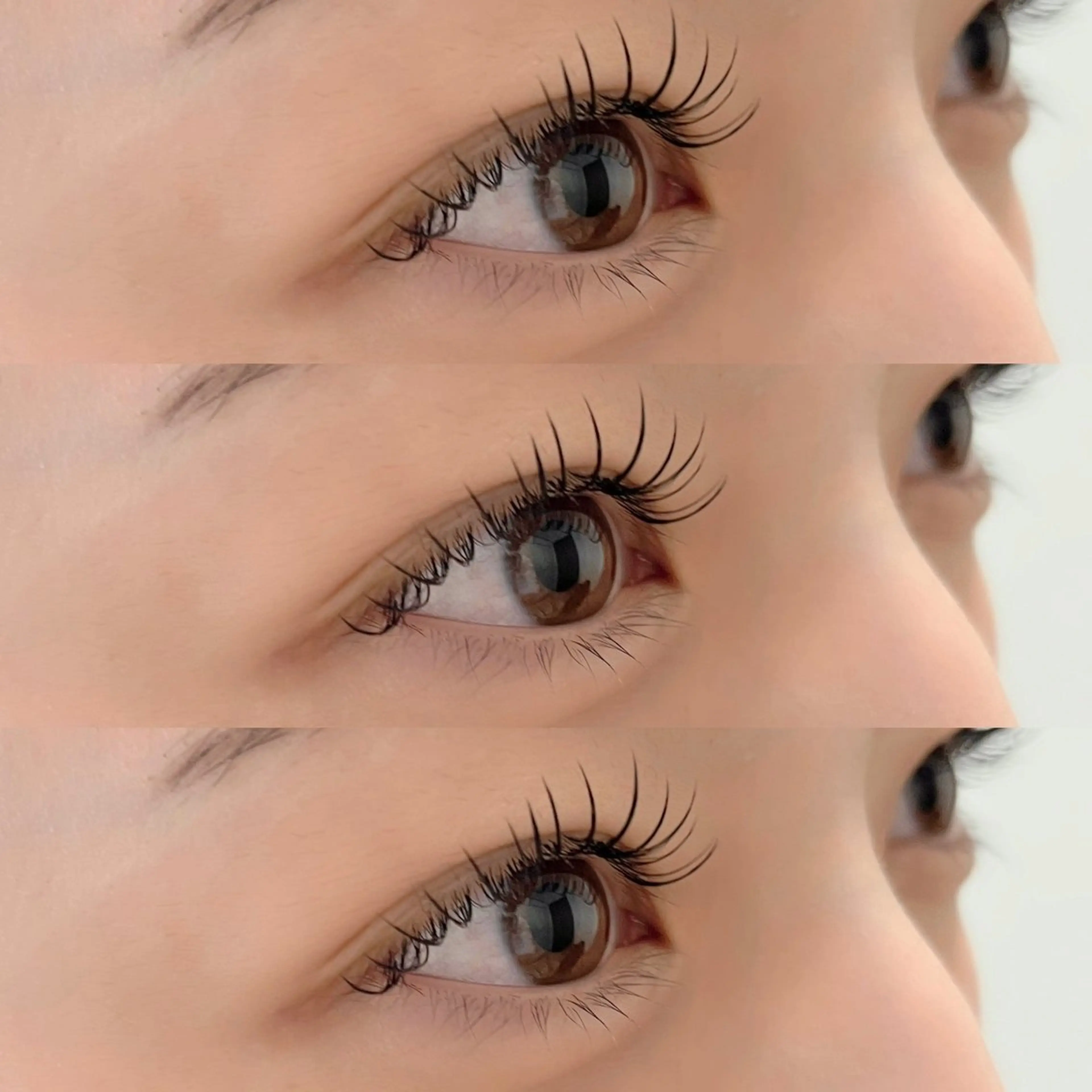 マツエク・マツパ eyelash mallowのマツエク・マツパデザイン