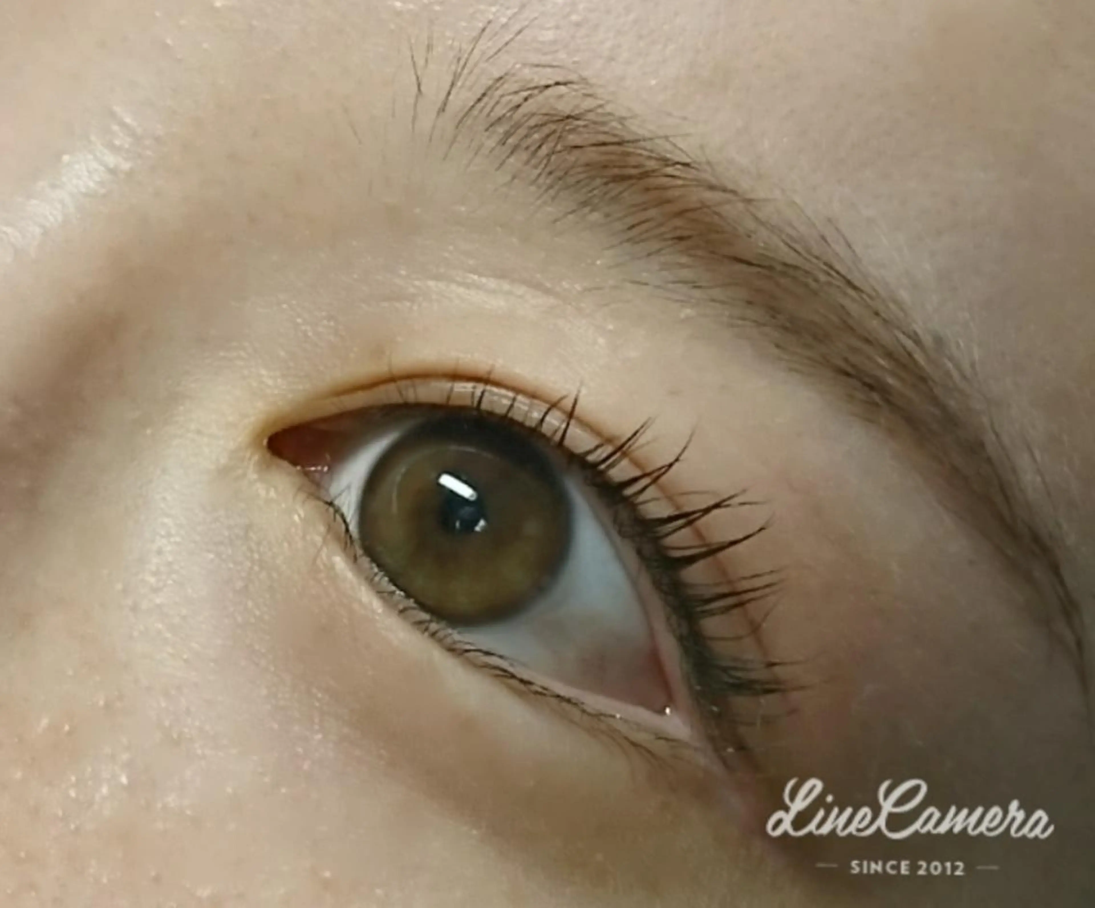 マツエク・マツパ まつげパーマ shimizu mayuのマツエク・マツパデザイン