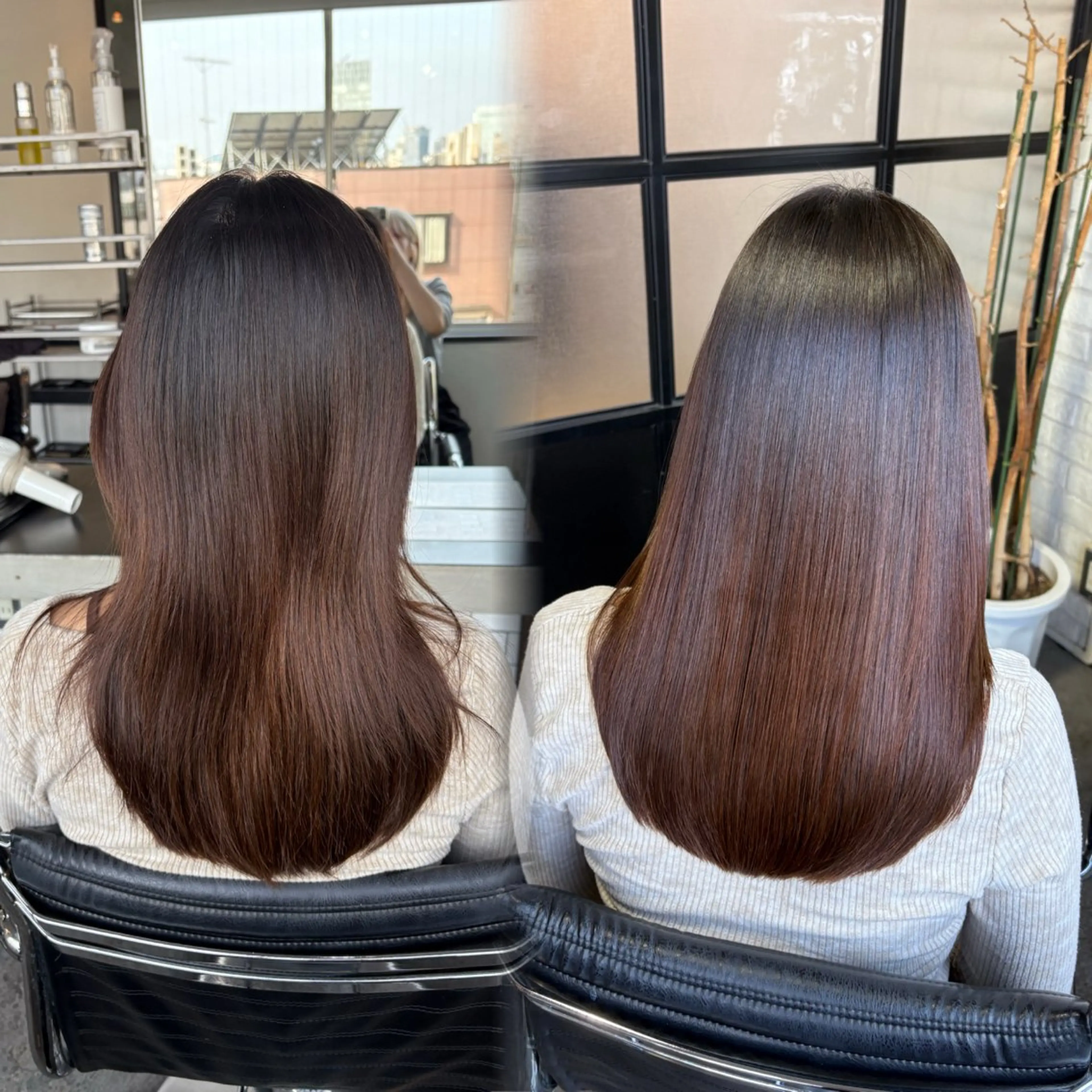 セミロング 縮毛矯正 トリートメント 髪質改善／縮毛矯正 関根青葉のヘアスタイル