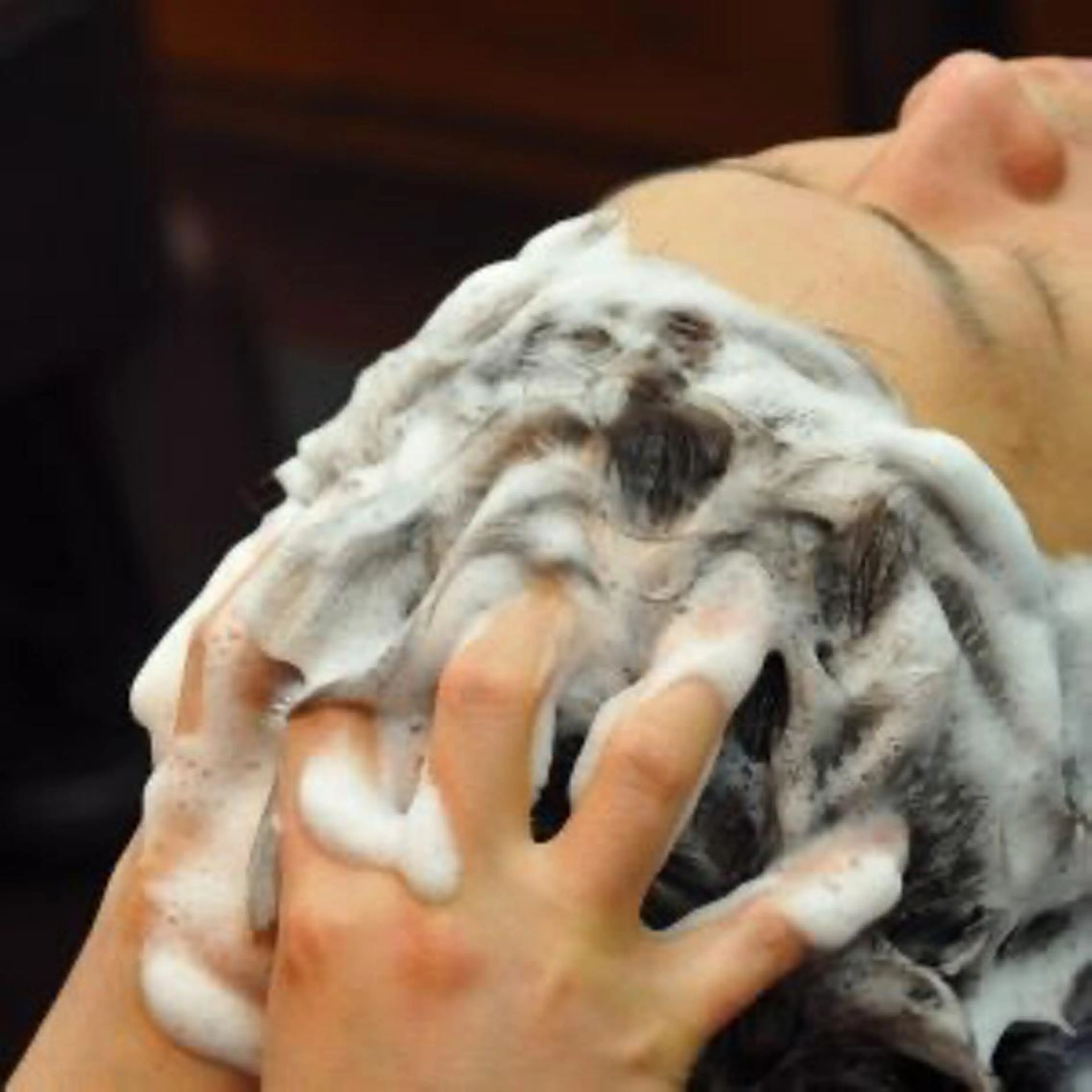 メンズ 山田 あかりのその他イメージ