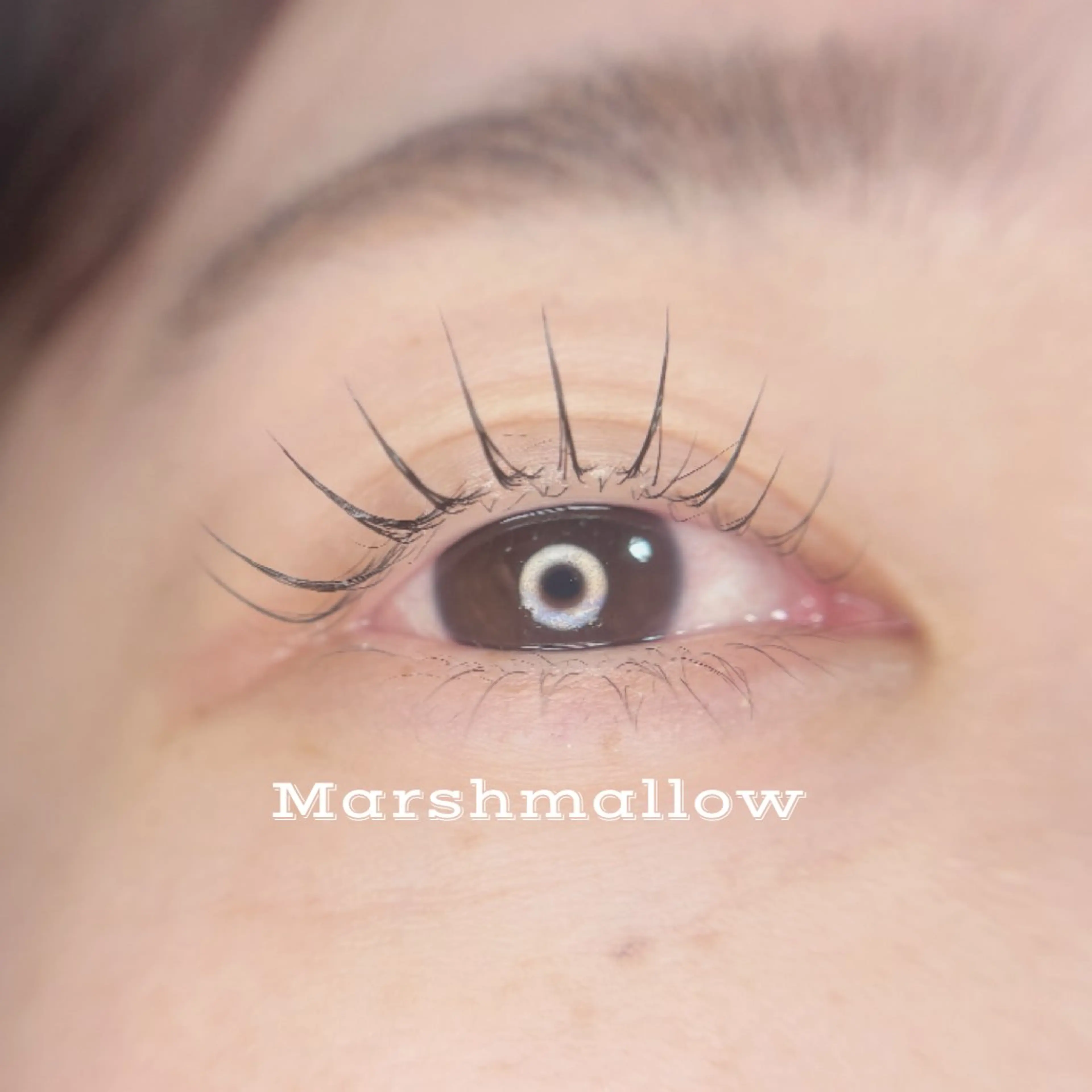 マツエク・マツパ まつげパーマ 一重×まつ毛パーマ 🦋MaaZlash 南流山FUKA🤍のマツエク・マツパデザイン