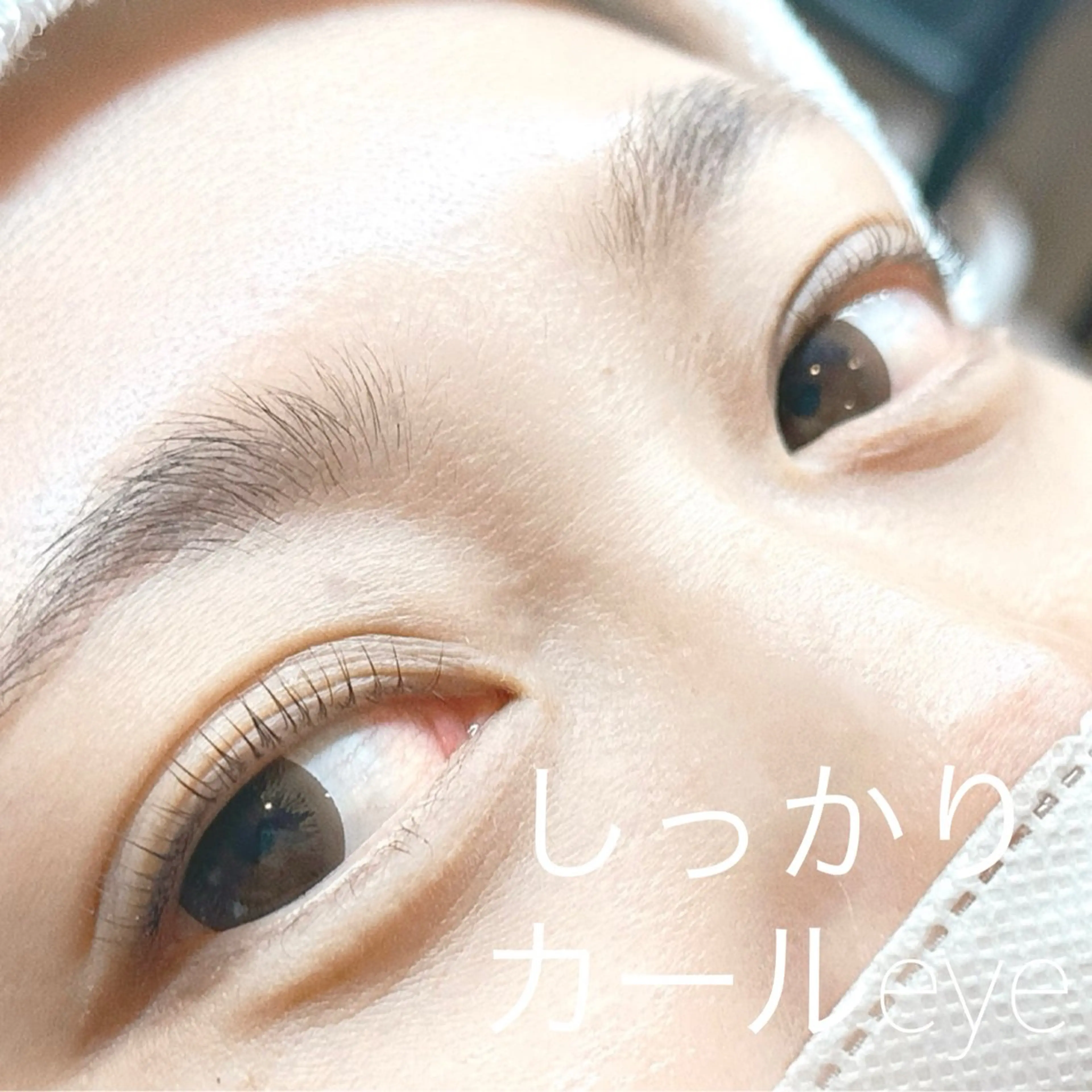 タイムセール【まつ毛パーマ】ラッシュリフト限定クーポンの写真