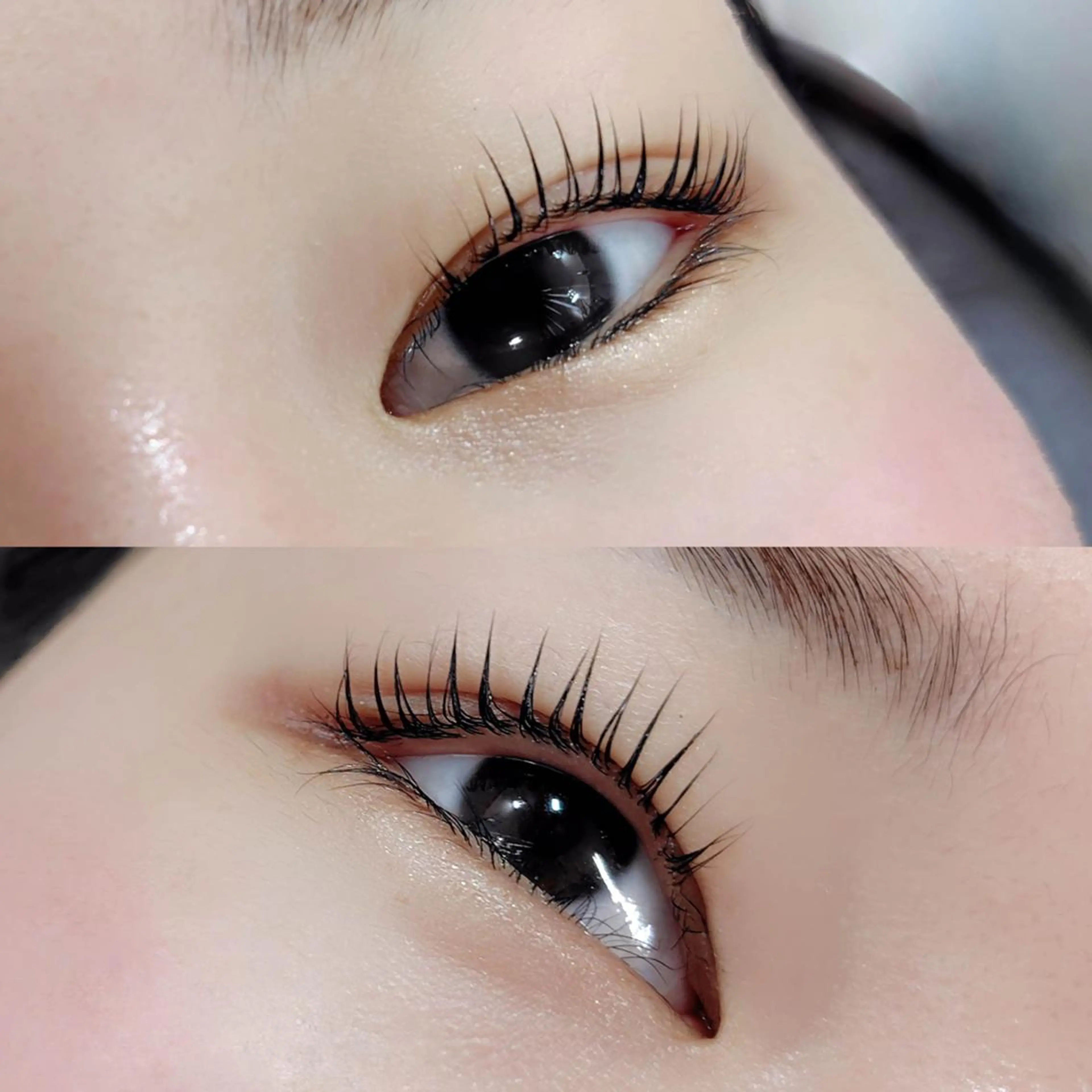 マツエク・マツパ Cカール まつげパーマ専門店 シャルナ　上野店のマツエク・マツパデザイン