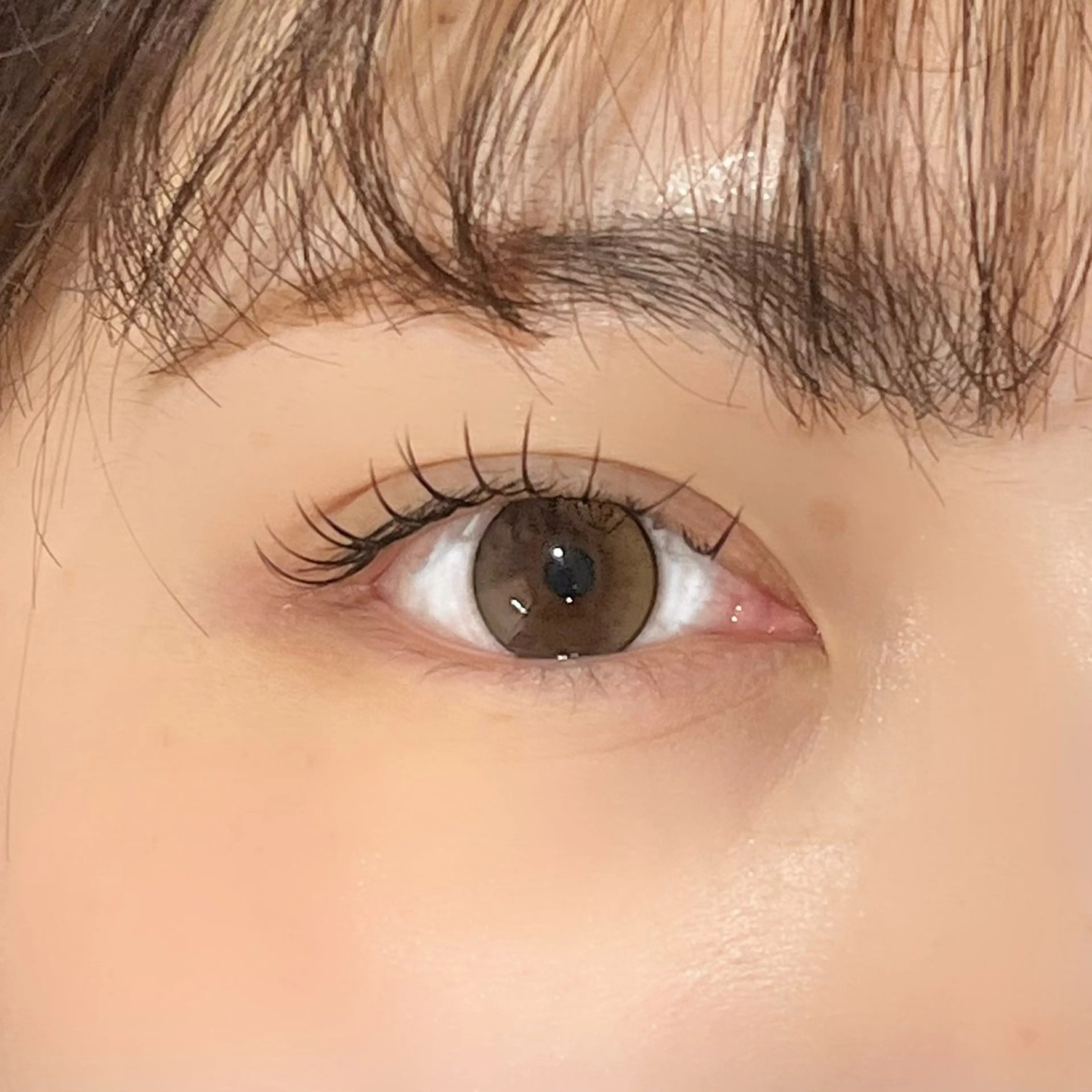 マツエク・マツパ フラットラッシュ 菊田 未来のマツエク・マツパデザイン