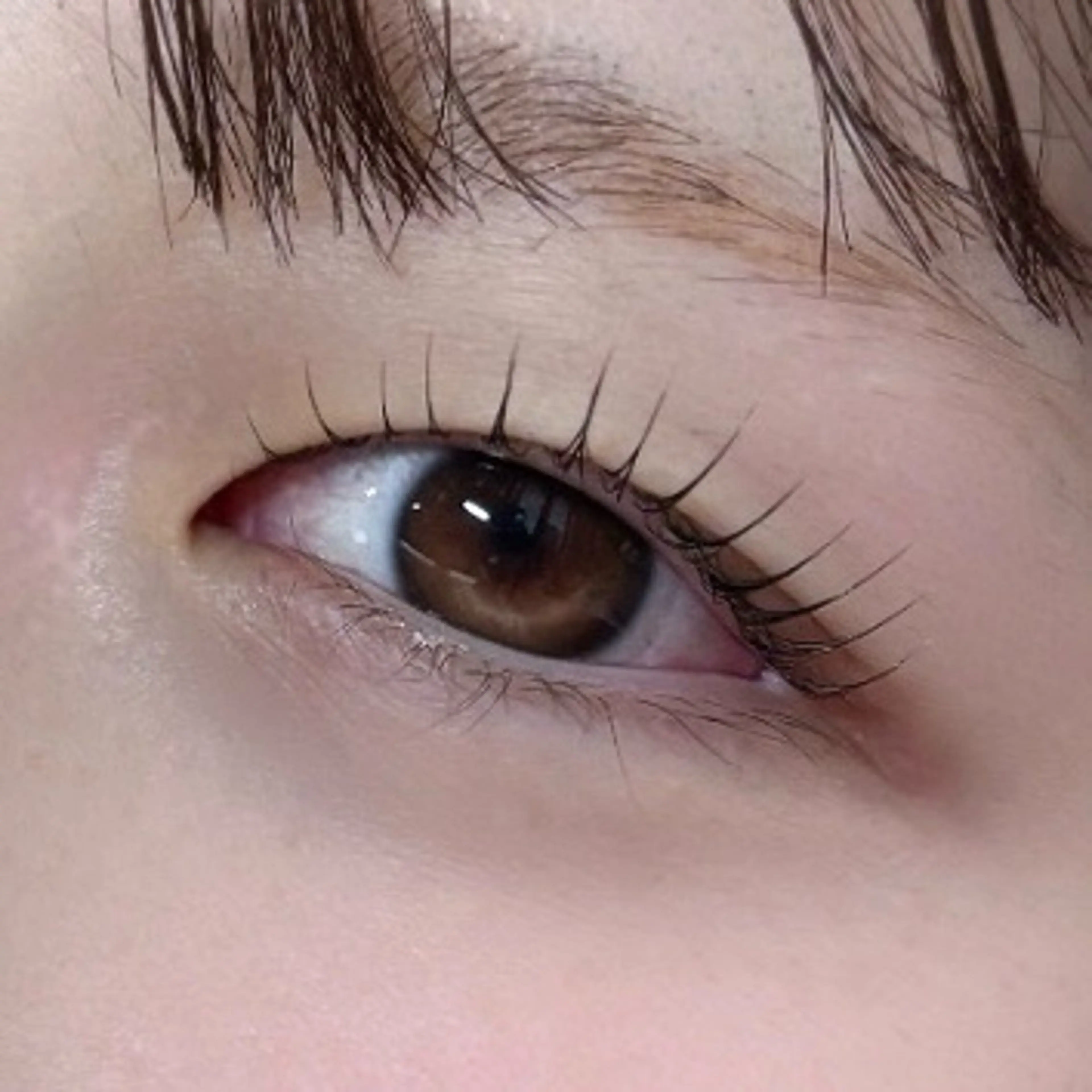 マツエク・マツパ fameu HARUのエステ・リラクイメージ